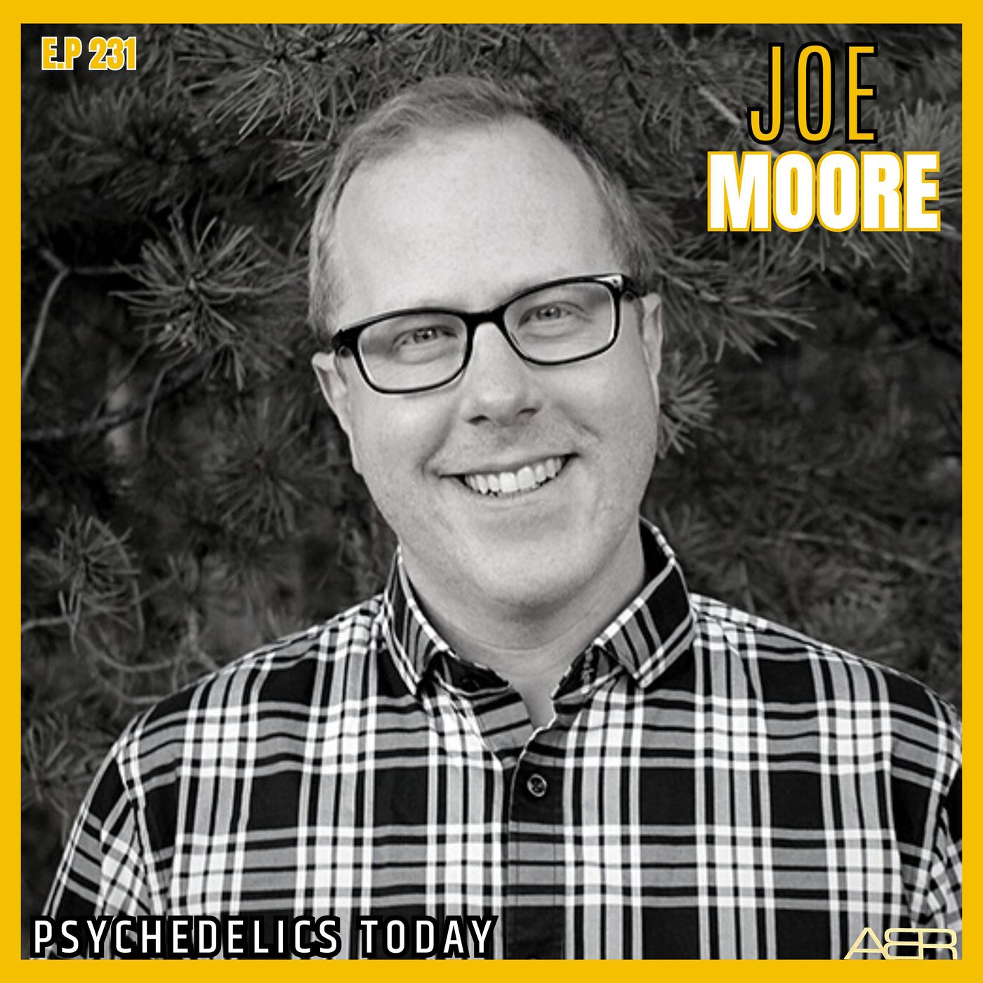 Airey Bros. Radio / Joe Moore / Ep 231 / Psychedelics Today / Breath Work / Holotropic Breathwork / Psychedelic Education / Advocacy