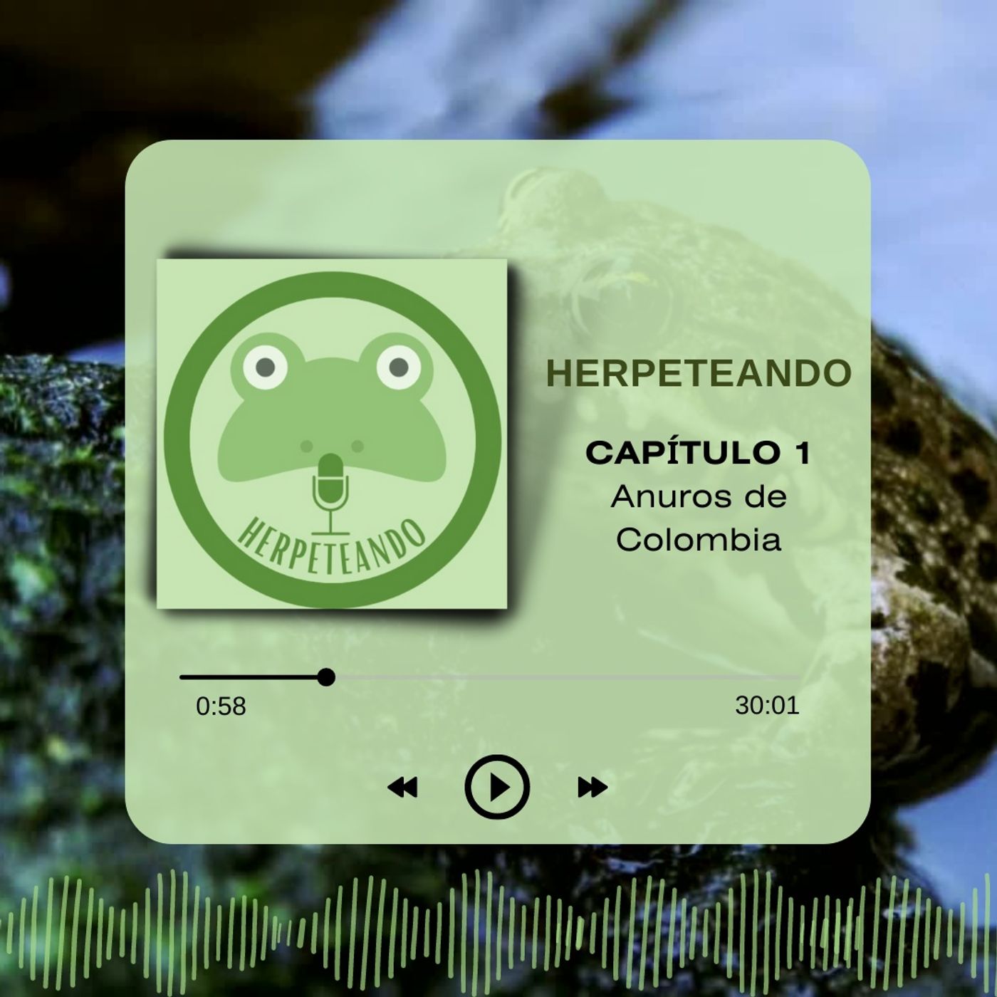 Capitulo 1 Anuros