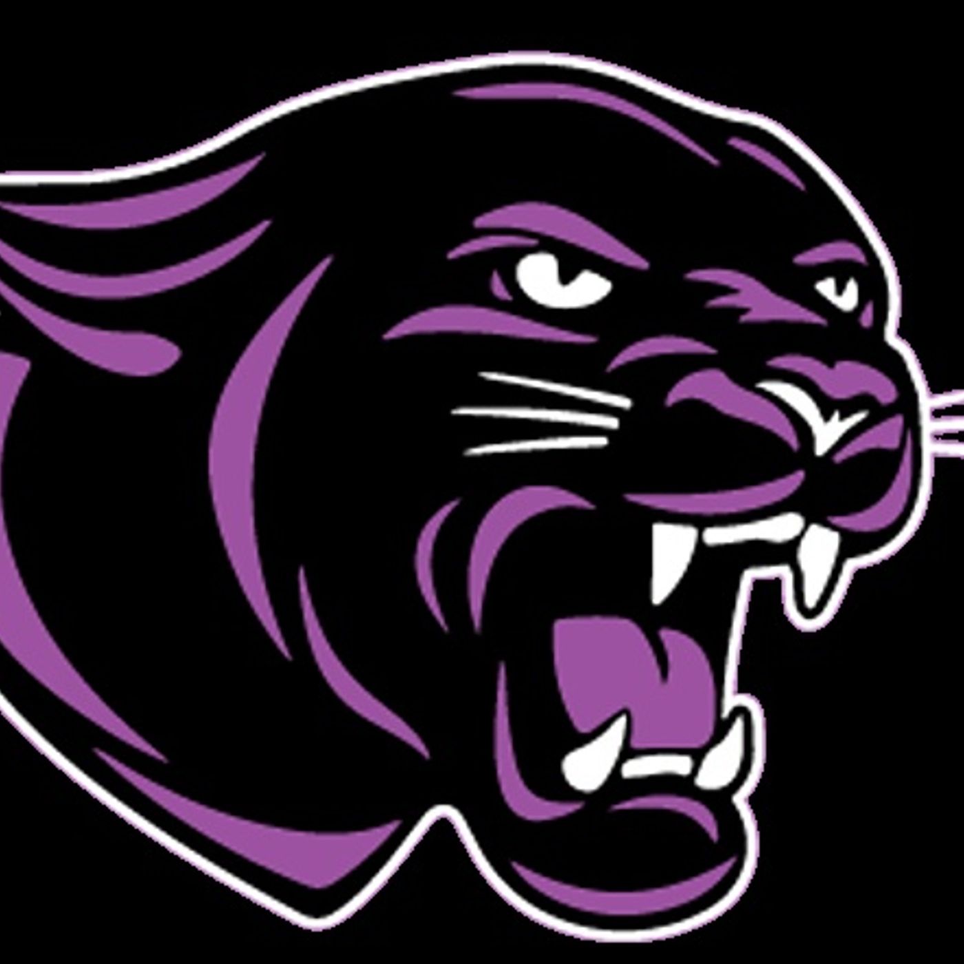 Hampshire’s Julissa Akins hits 2 homers: Tuesday’s Northwest Herald roundup