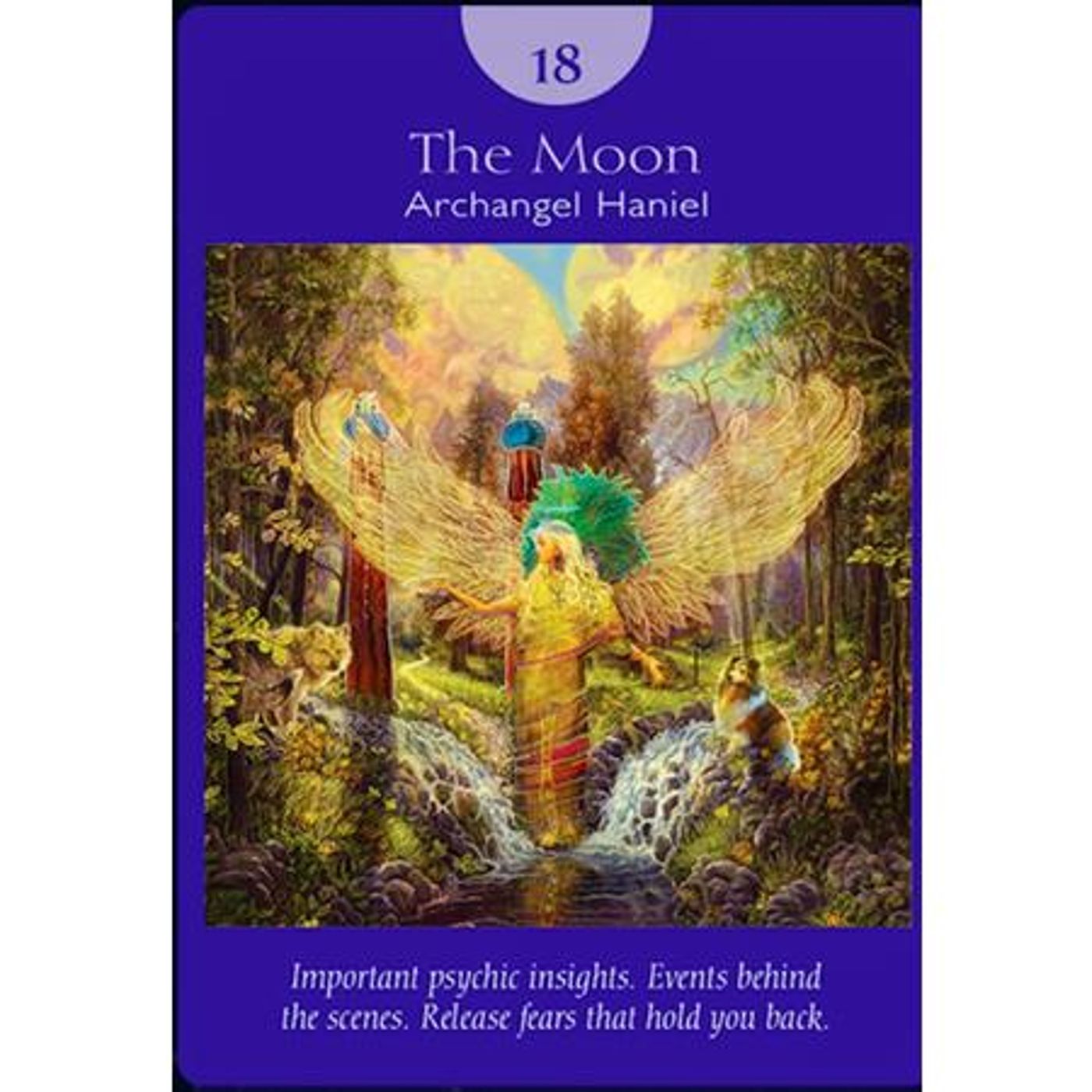 Lets Ask the Angels!