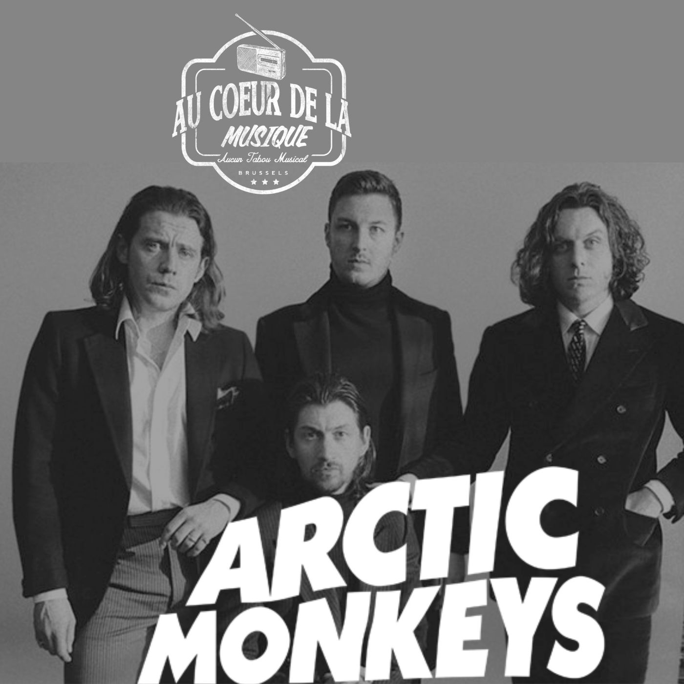 Histoire d'épices: Arctic Monkeys