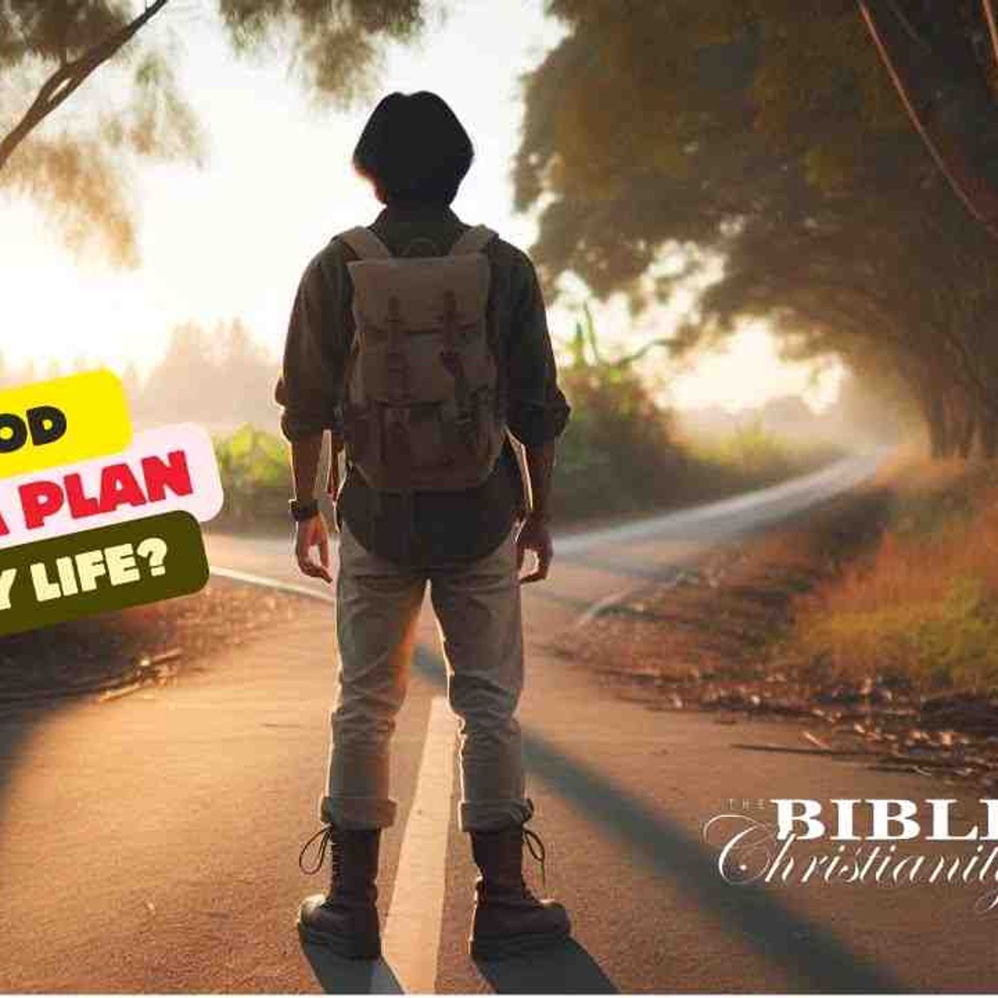 Does God Have a Plan for My Life episode artwork
