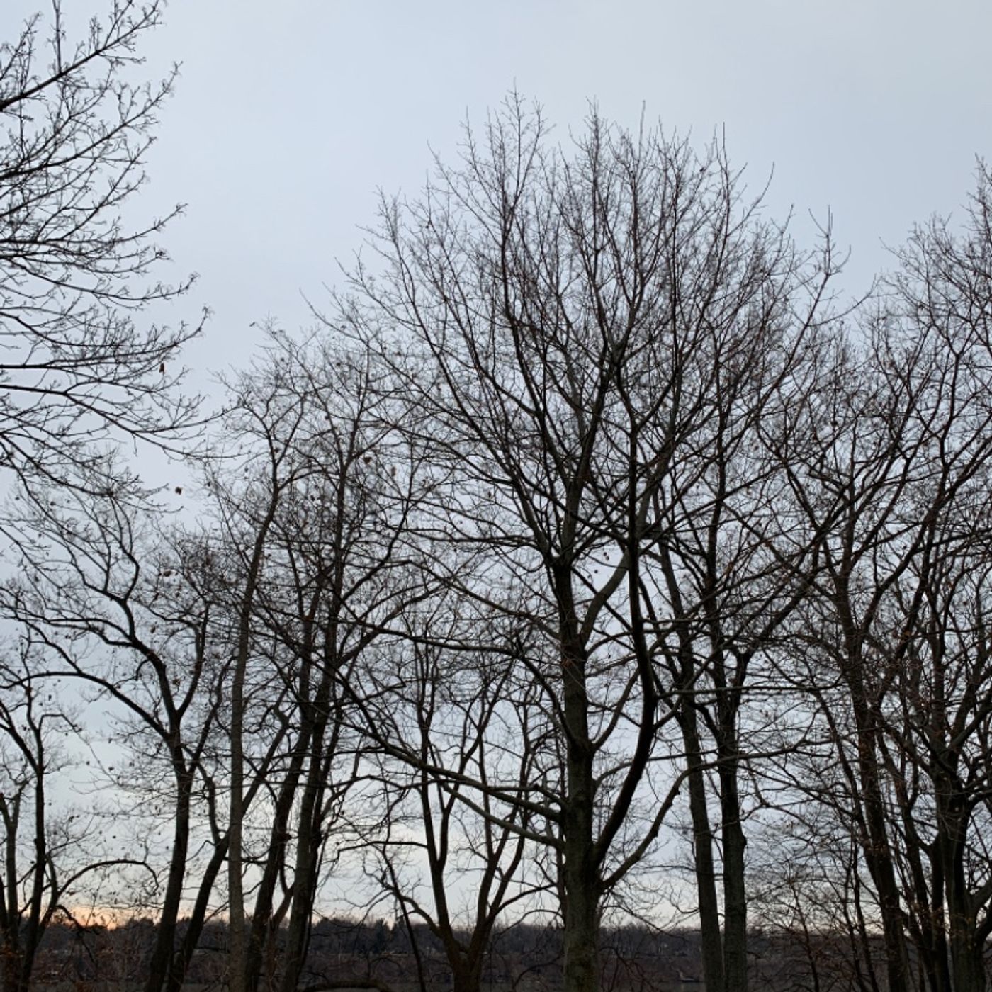 Prayer on the Go! - with Bishop Deb