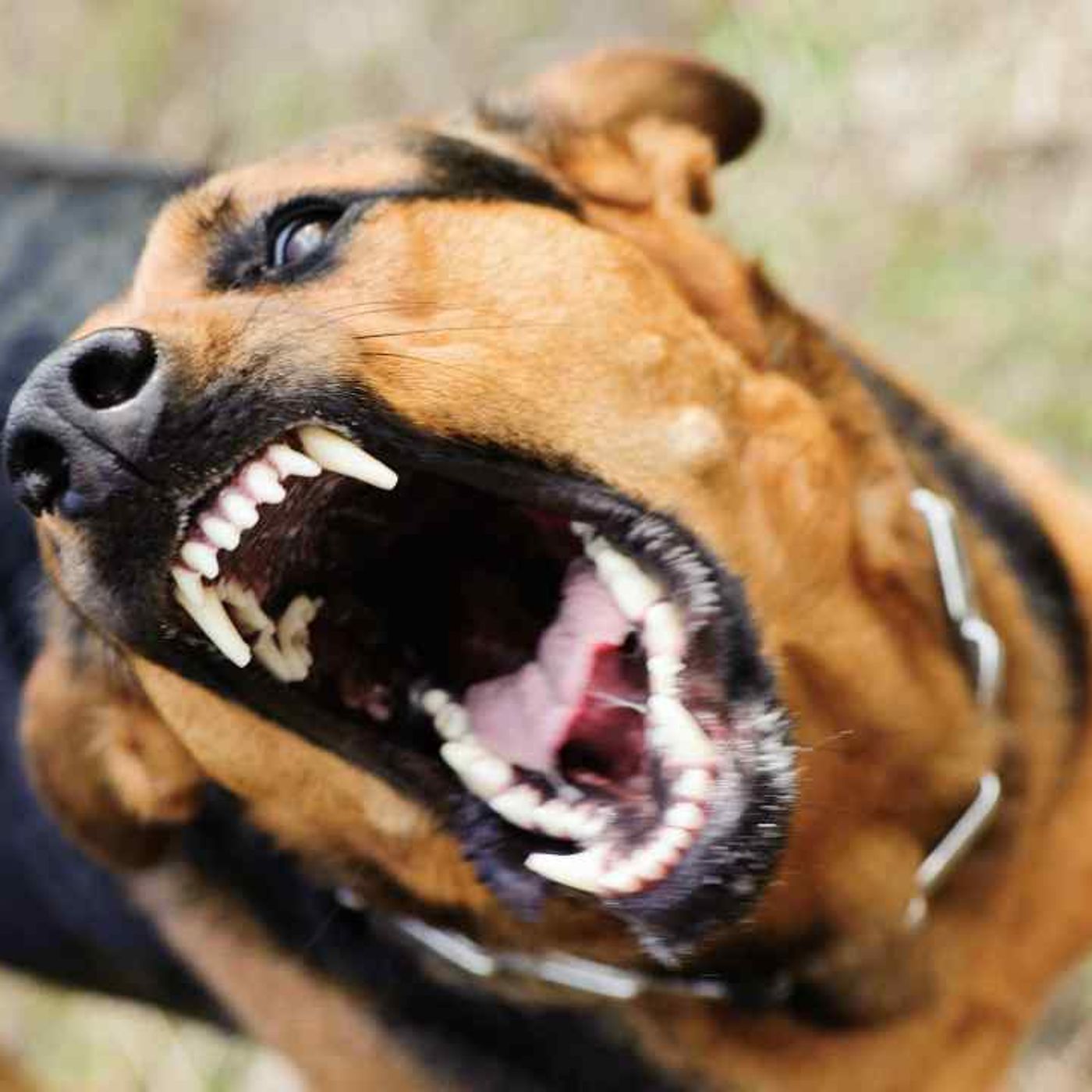 TUTTA RADIO INDIMENTICABILE