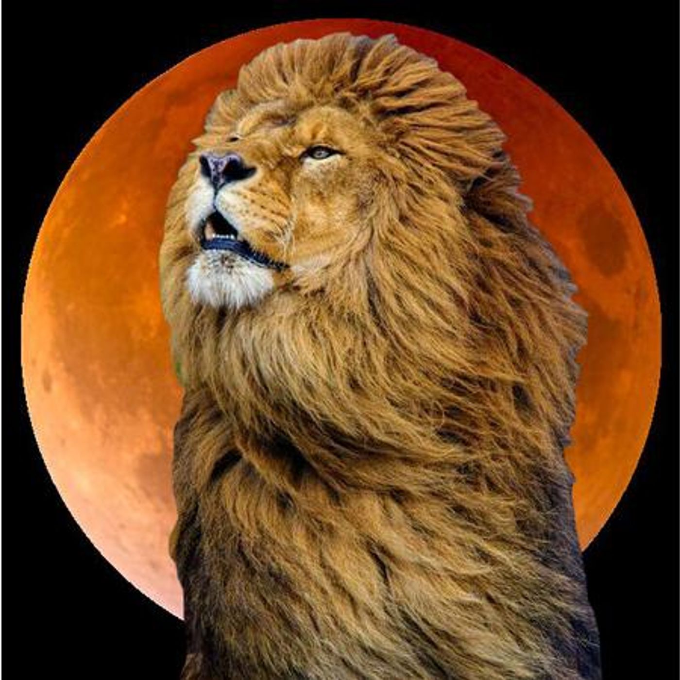 The Zoe Moon FULL MOON in LEO Astrology Show episode artwork