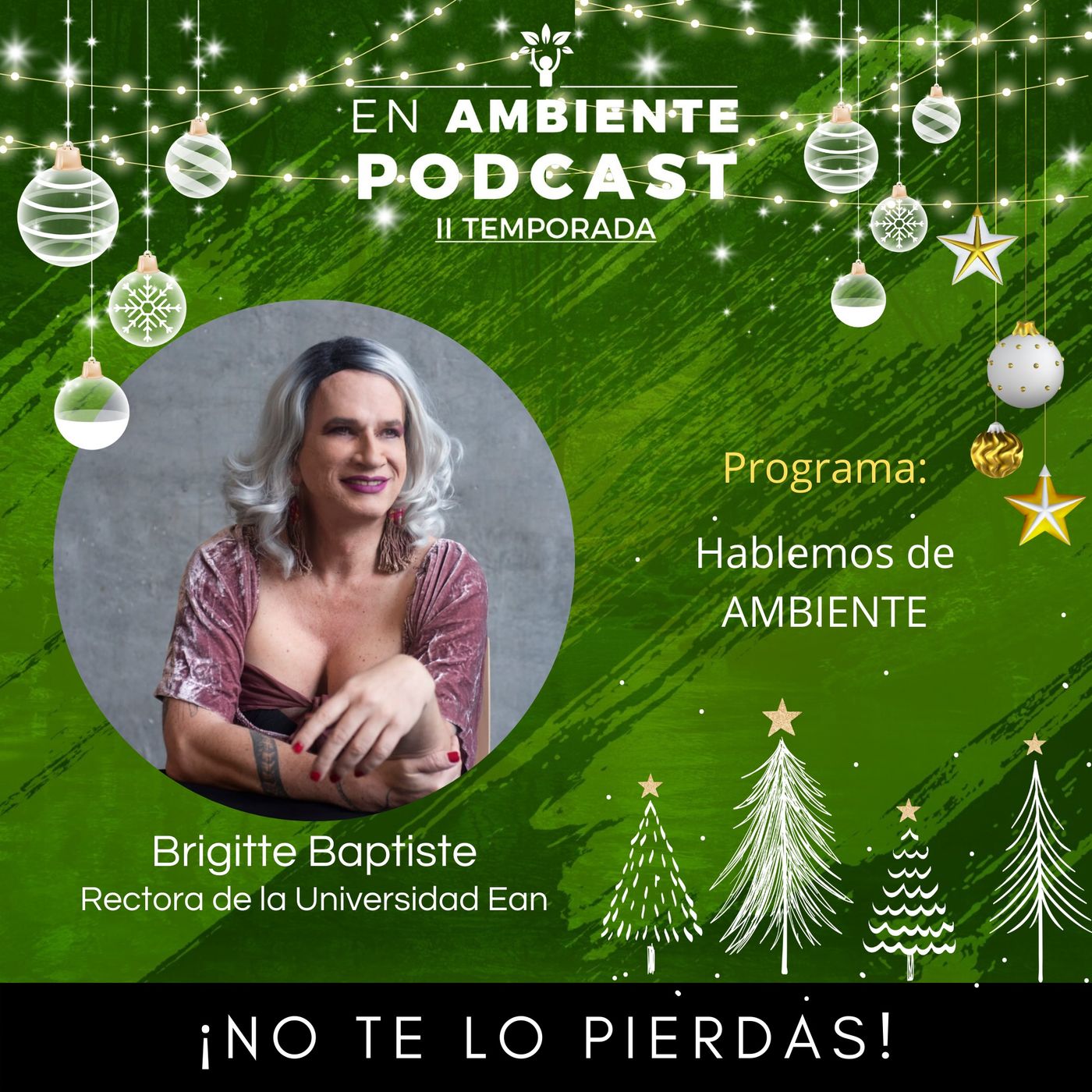 En Ambiente