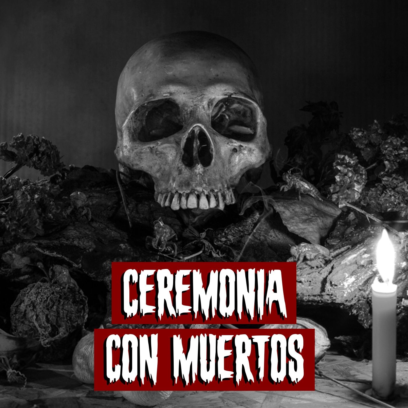 Crónicas desde la Oscuridad
