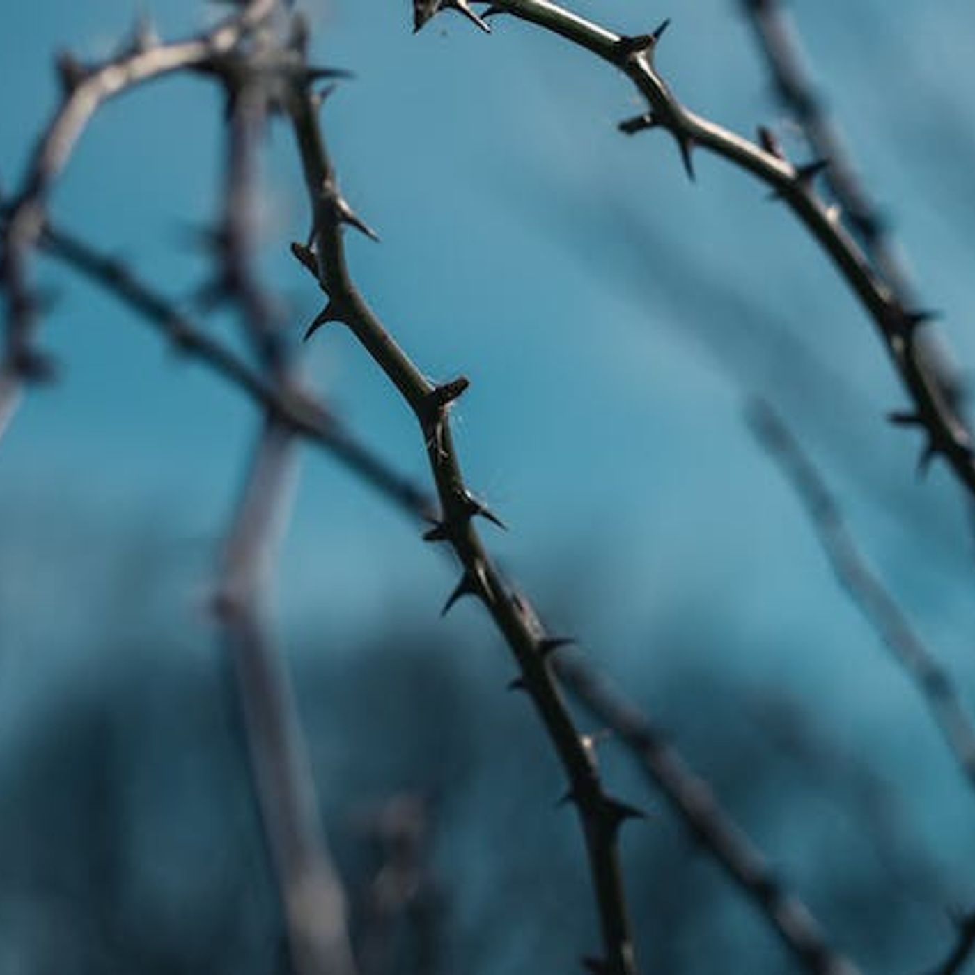 Christ’s Death Was No Accident