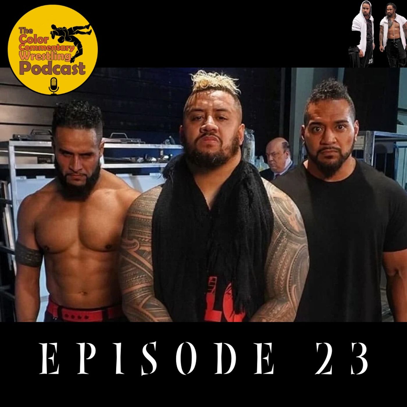 The Color Commentary Wrestling Podcast - Episode 23 The Color Commentary Wrestling Podcast - Episode 23