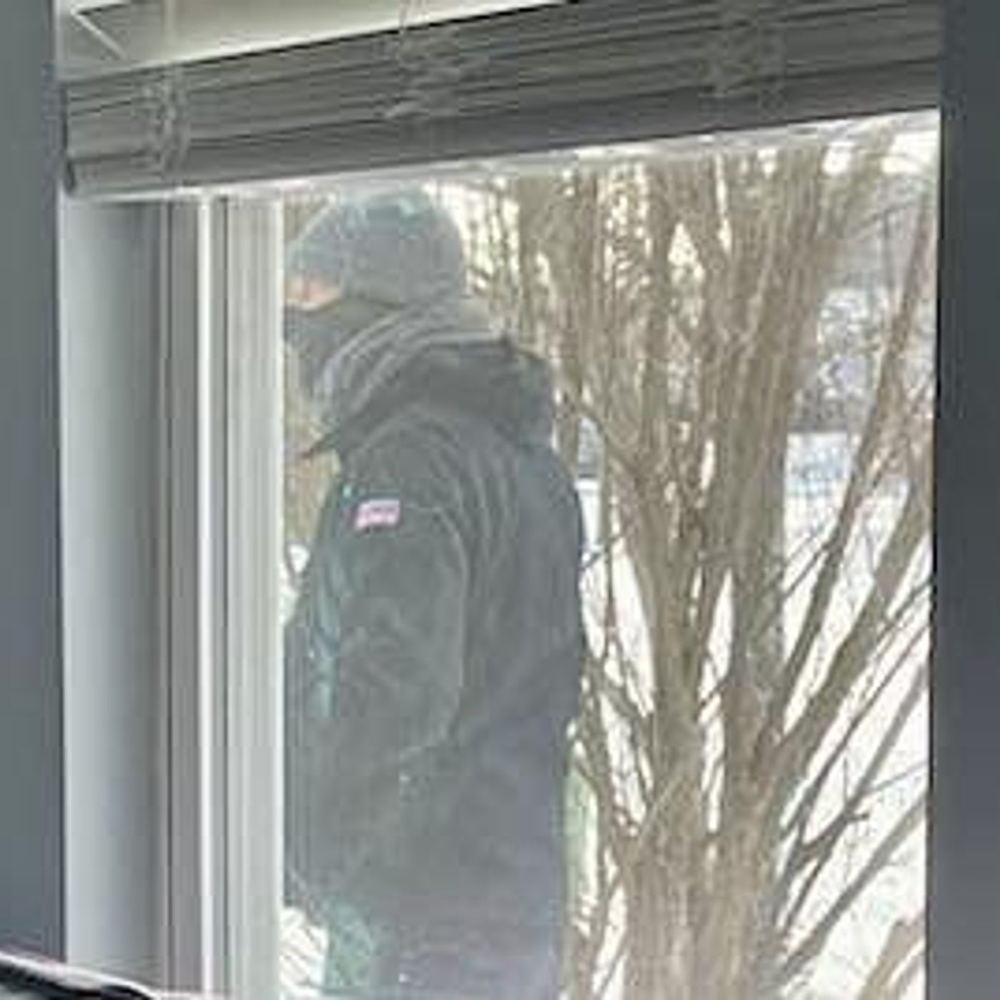 Oswego police: Husband of woman found dead in home saw man on surveillance camera episode artwork