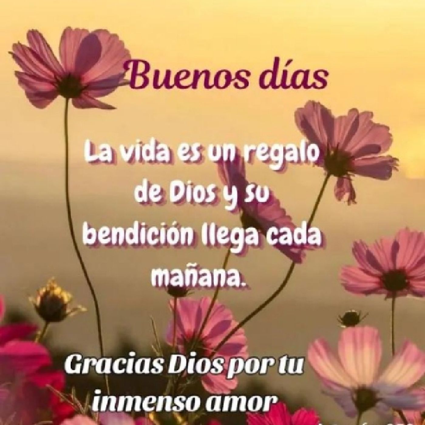 La misericordia de Dios episode artwork