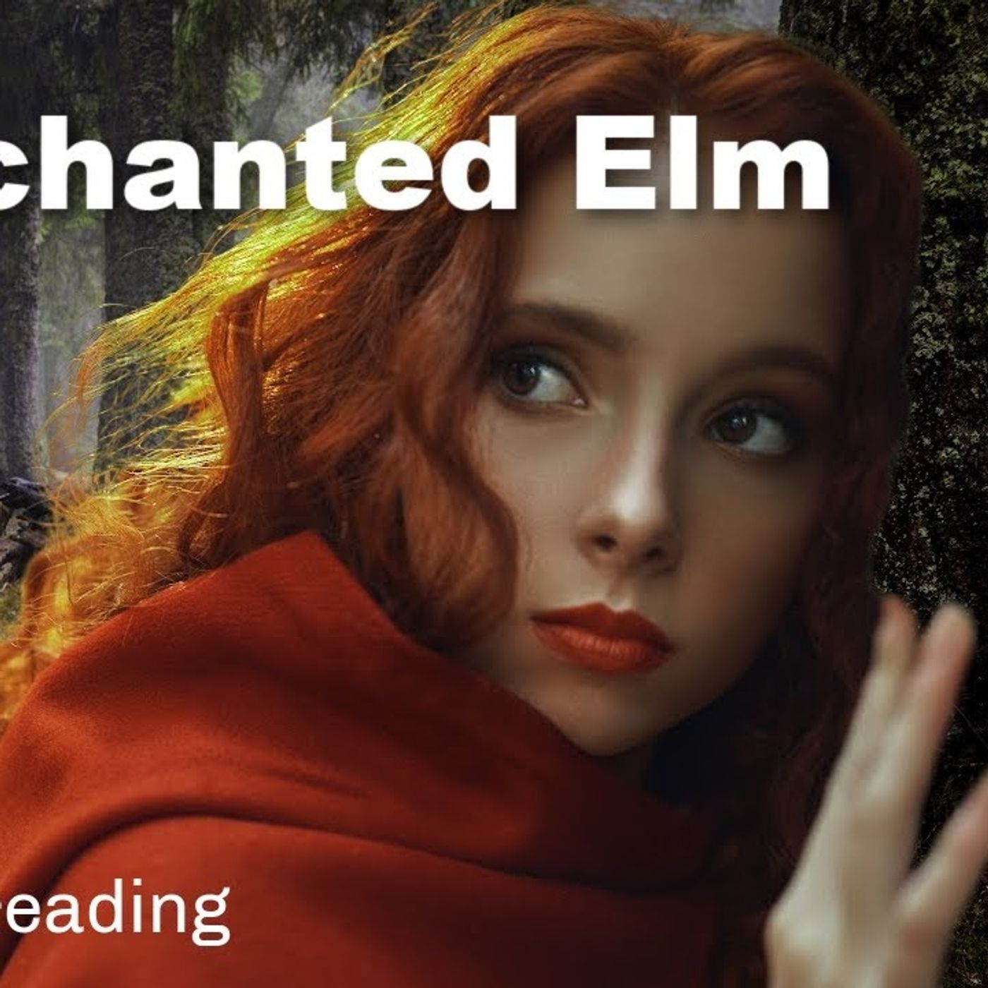 THE ENCHANTED ELM - Restful Bedtime Story for Sleep & Relaxation / Soothing Narration