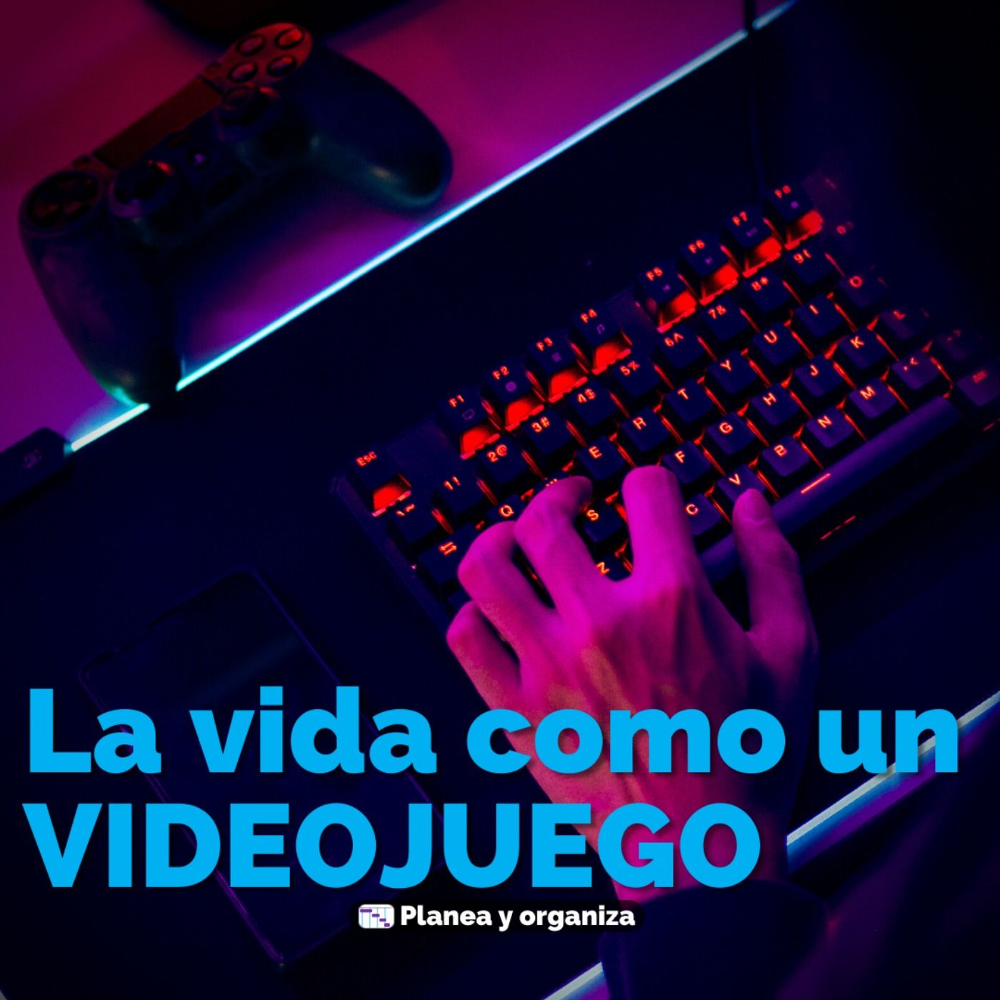Planea y organiza
