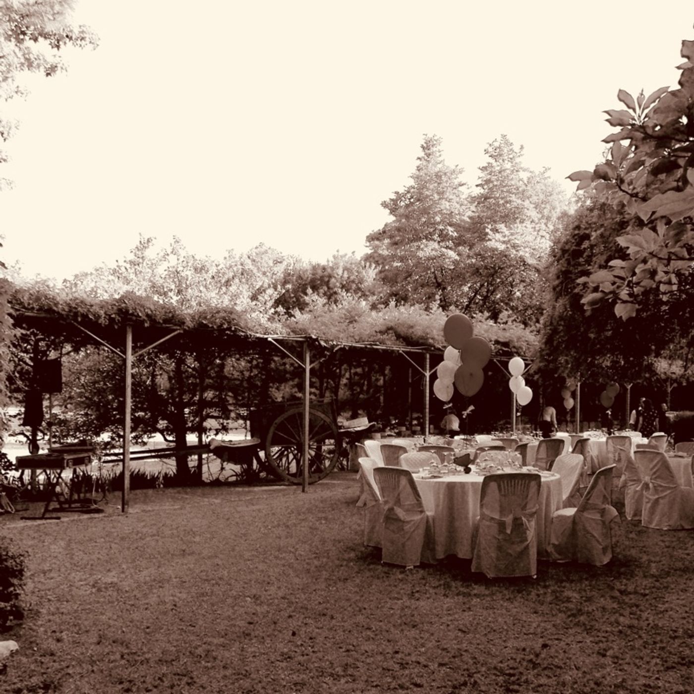 Wedding Planner Torino - Come nei Sogni®