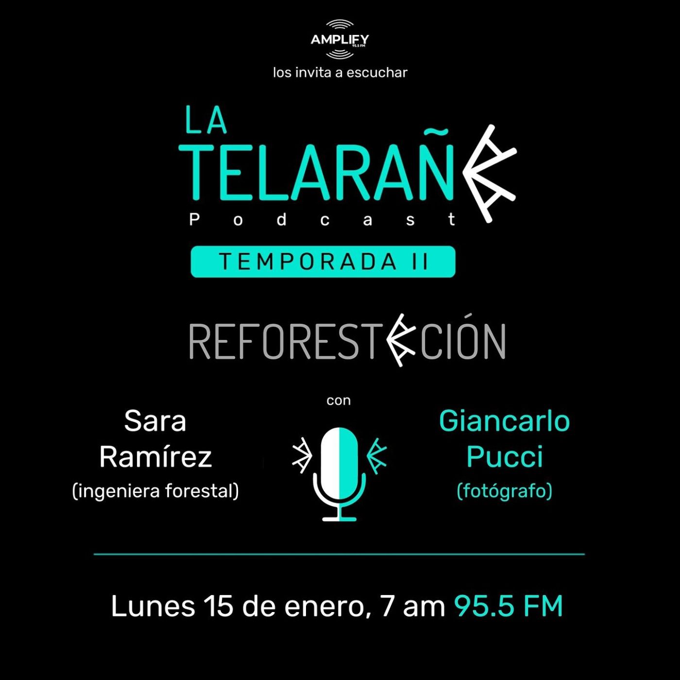 Reforestación episode artwork