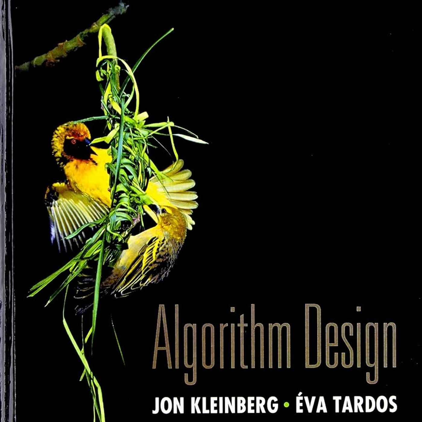 Algorithm Design