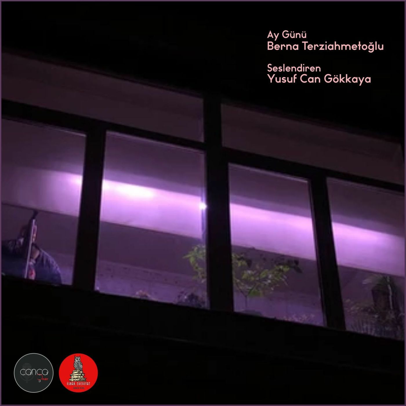 Öykü | Berna Terziahmetoğlu - Ay Günü