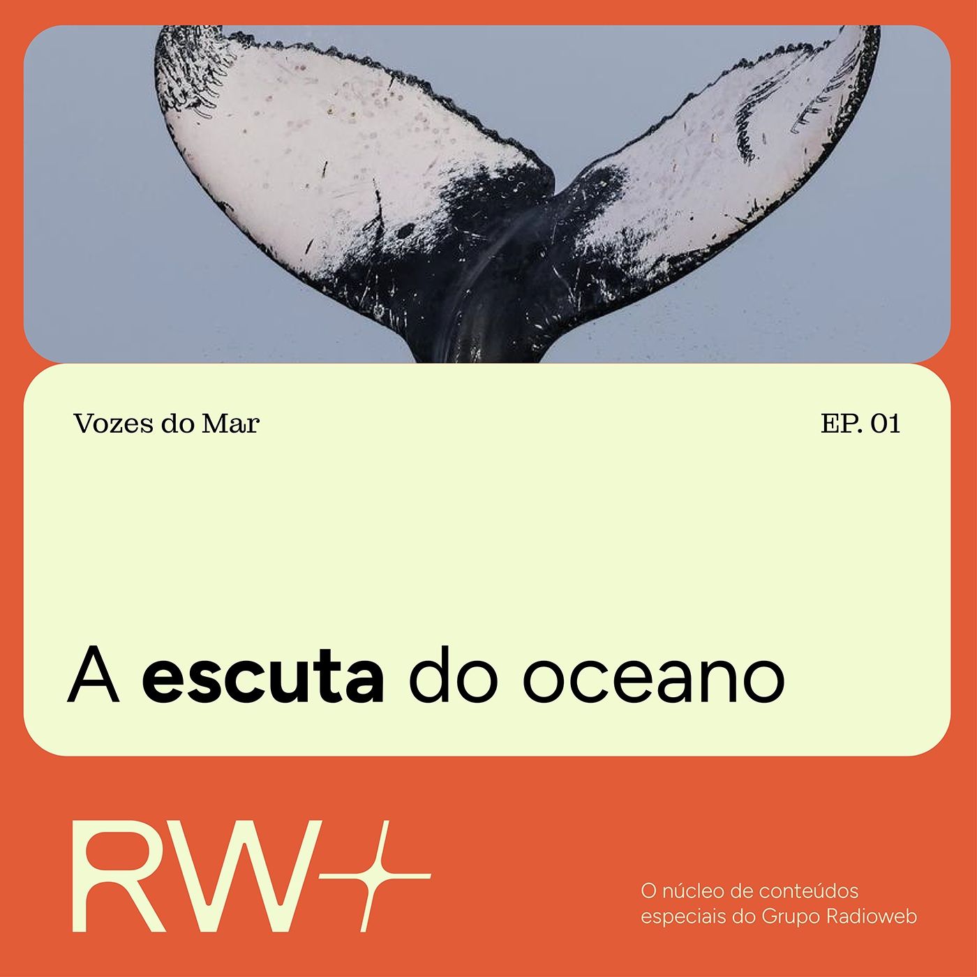 Vozes do Mar: baleias retornam à costa brasileira no inverno episode artwork