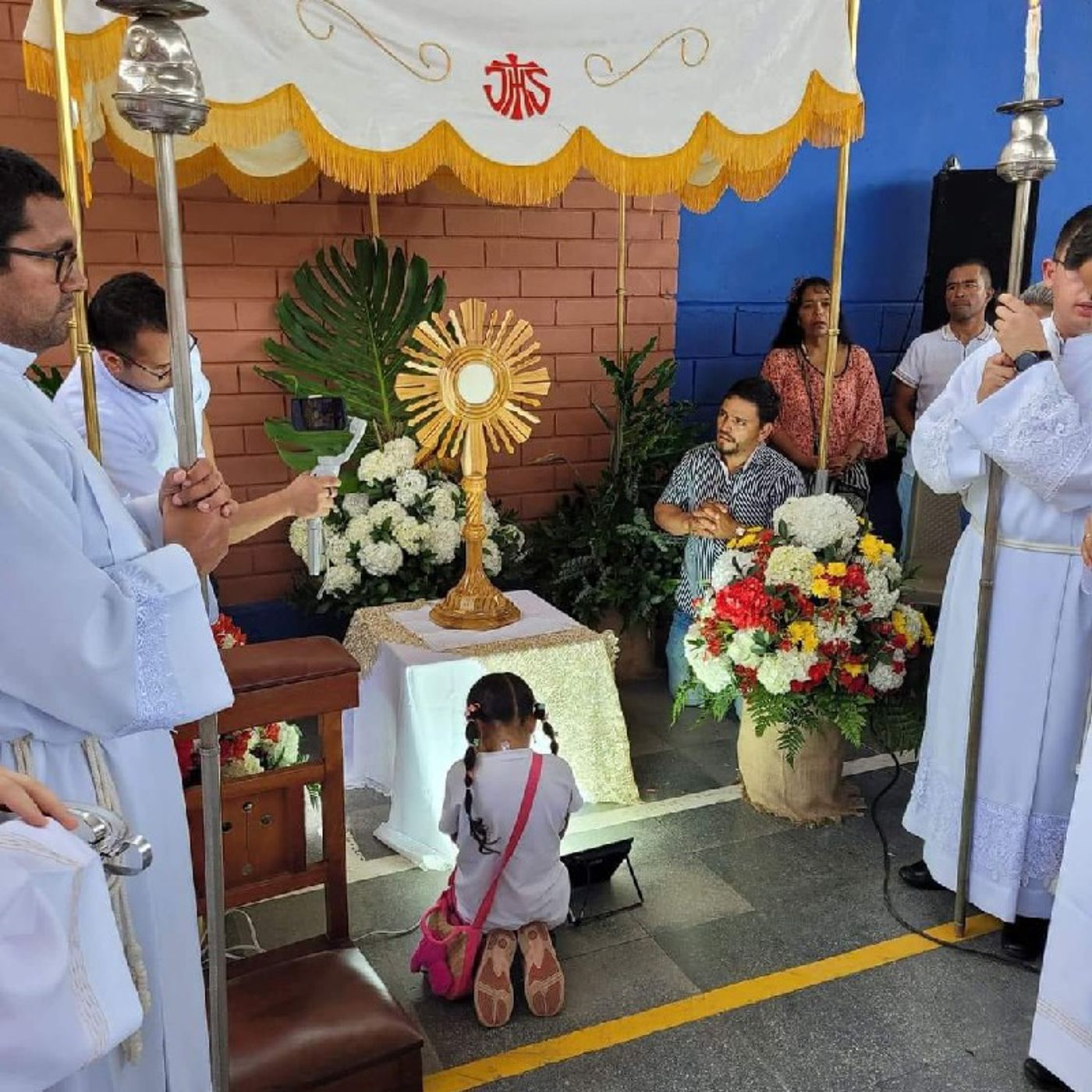 La Reflexión del Dia "Adoremos y reparemos a Jesús Eucaristía" episode artwork