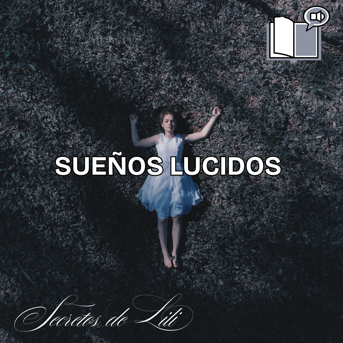 Sueños lúcidos Una guía para dominar el arte de navegar por los sueños