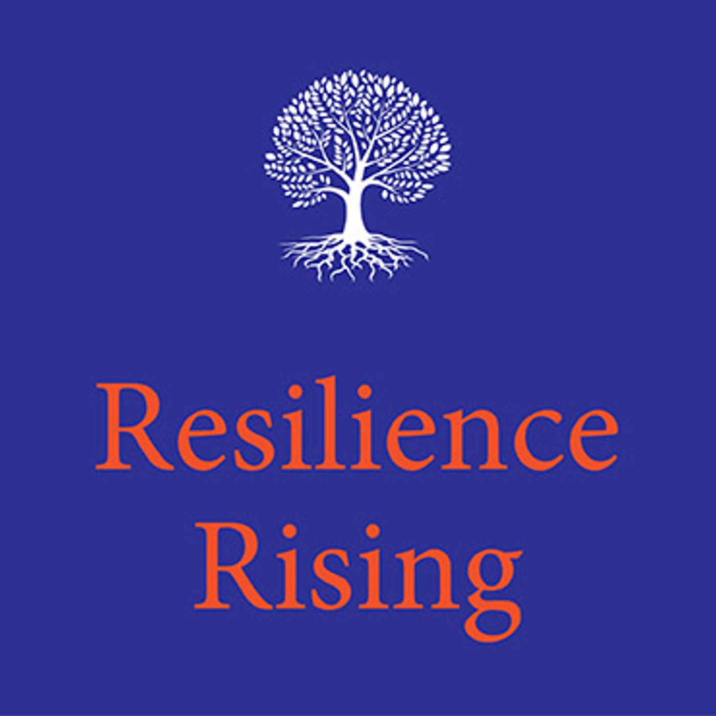 Resilience Rising: An Interview with Ohio State Rep Josh Williams