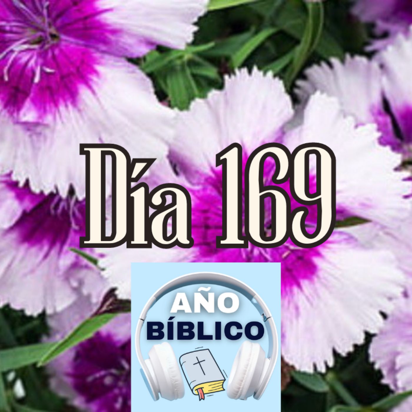 Día 169 - Salmos 73:13-16, 2 Reyes 18:19-37; 2 Reyes 19 y Hechos 27:27-44 episode artwork