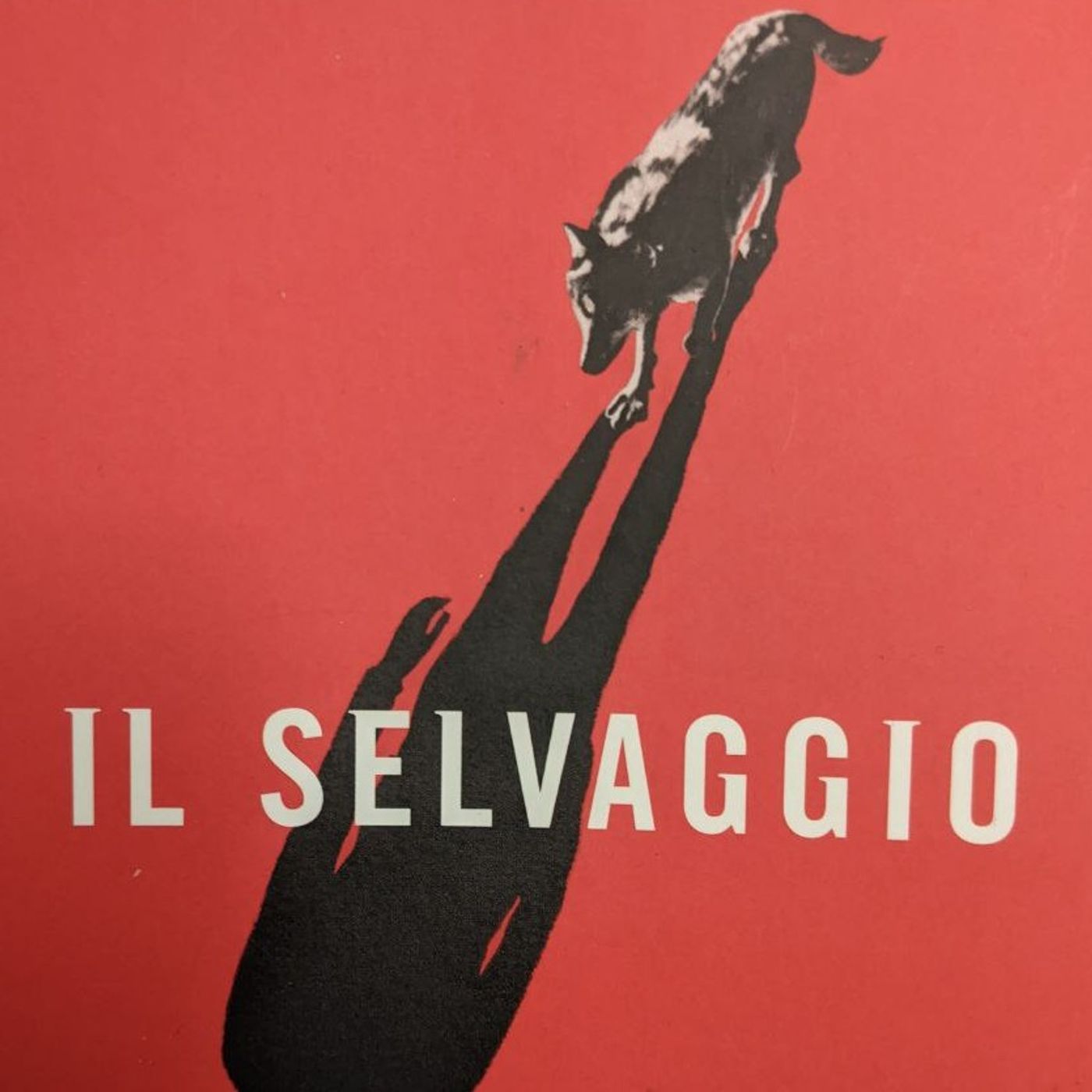 Il Selvaggio con Lorenzo Baravalle!