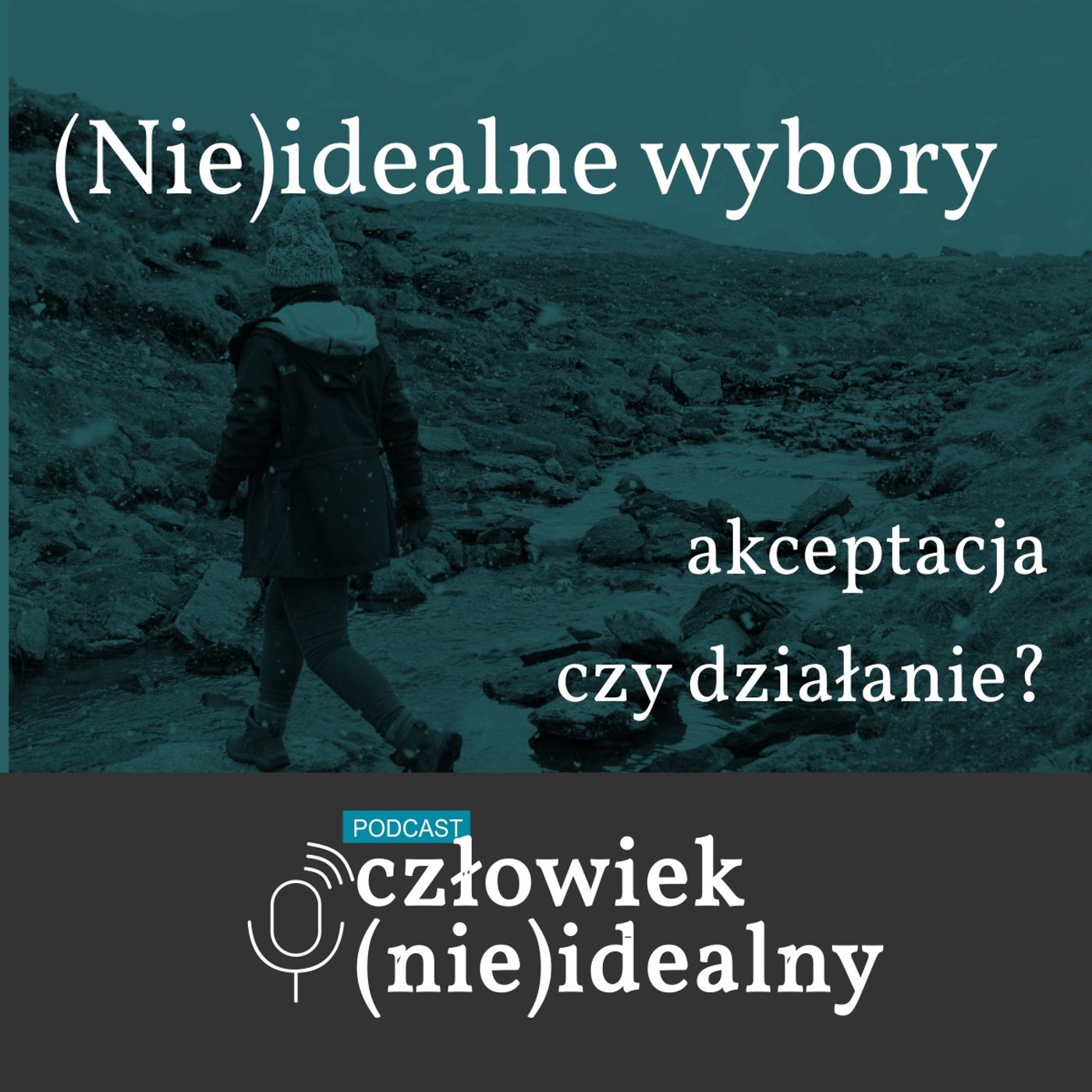 Człowiek (nie)idealny