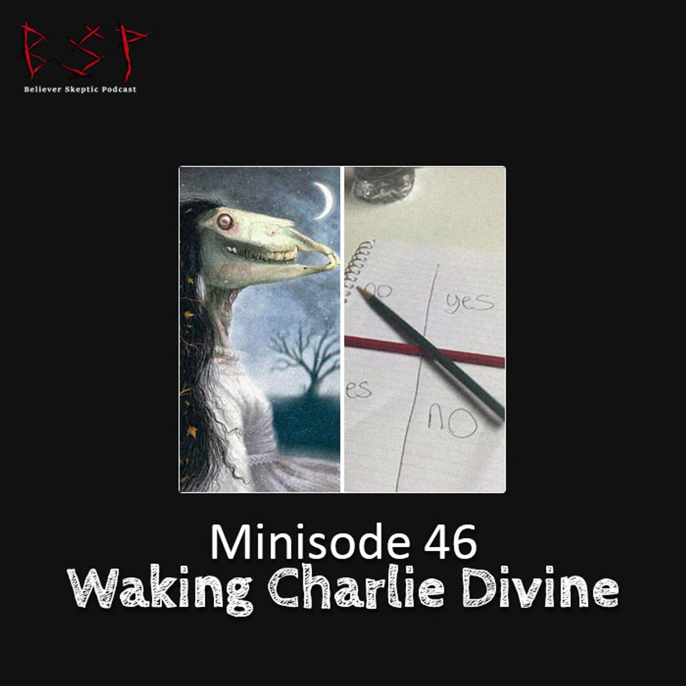 Minisode 46 – Waking Charlie Divine - podcast episode cover