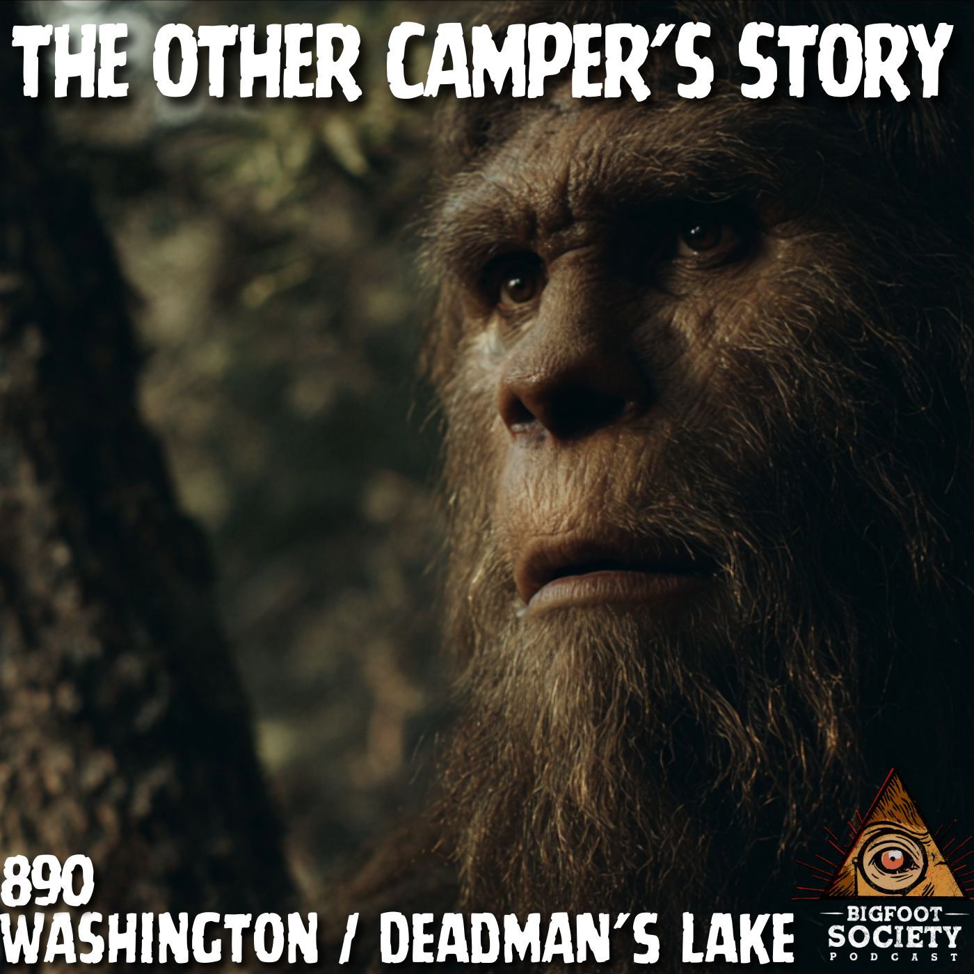 The Other Camper's Story! | Washington
