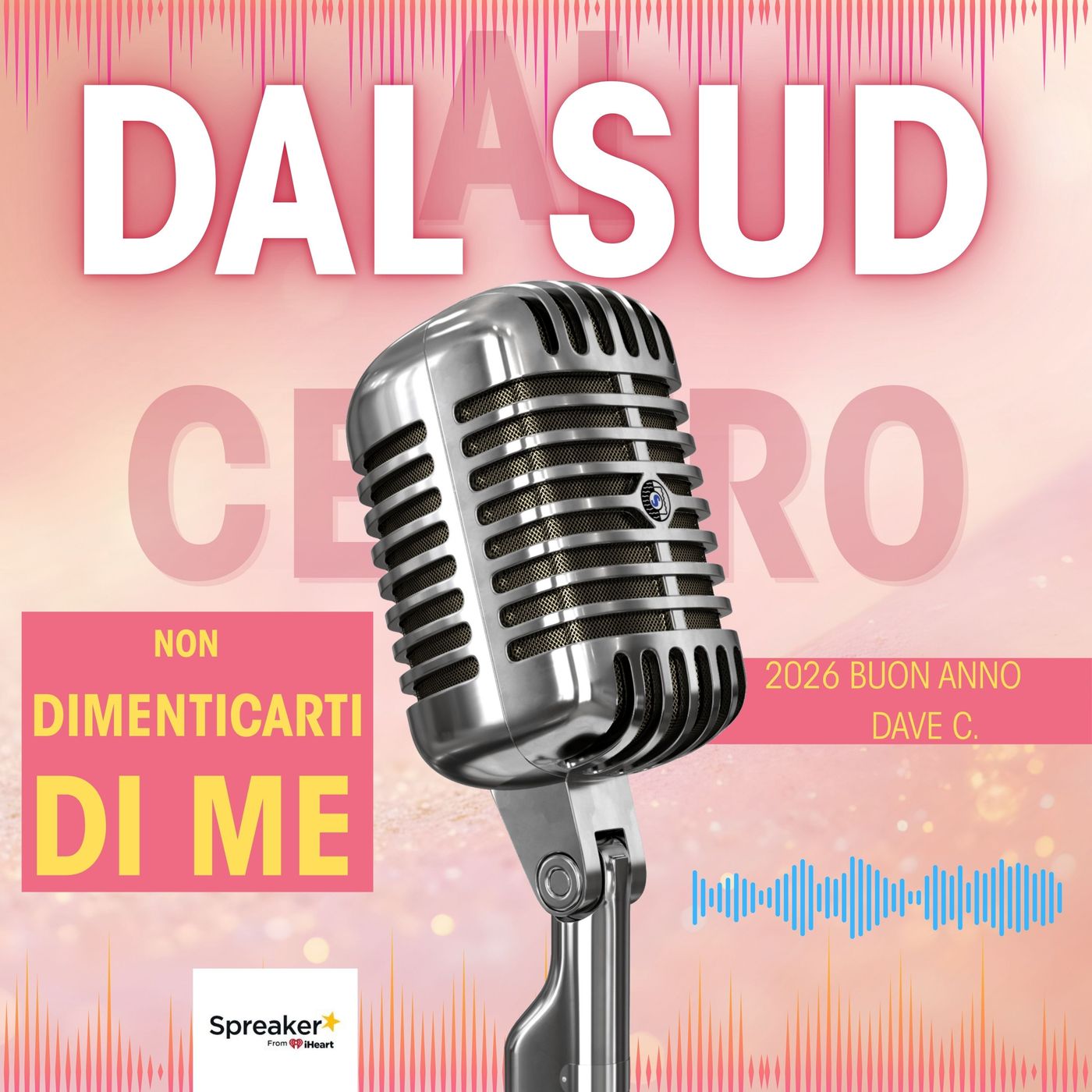 Non Dimenticare DSAC. episode artwork