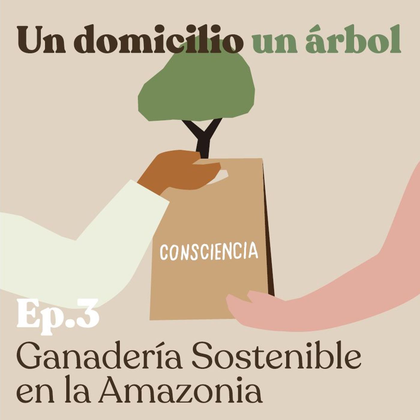 EP3: Ganadería sostenible en la Amazonía