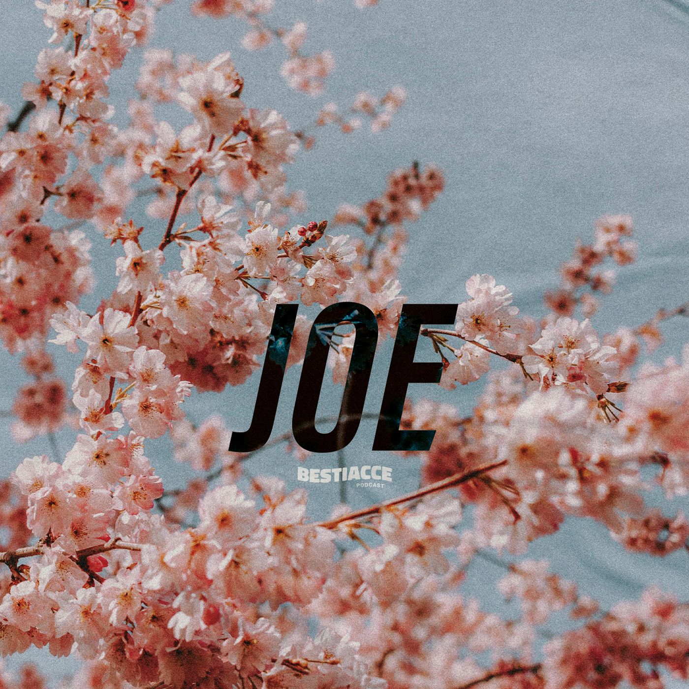 Ep. 26 · JOE