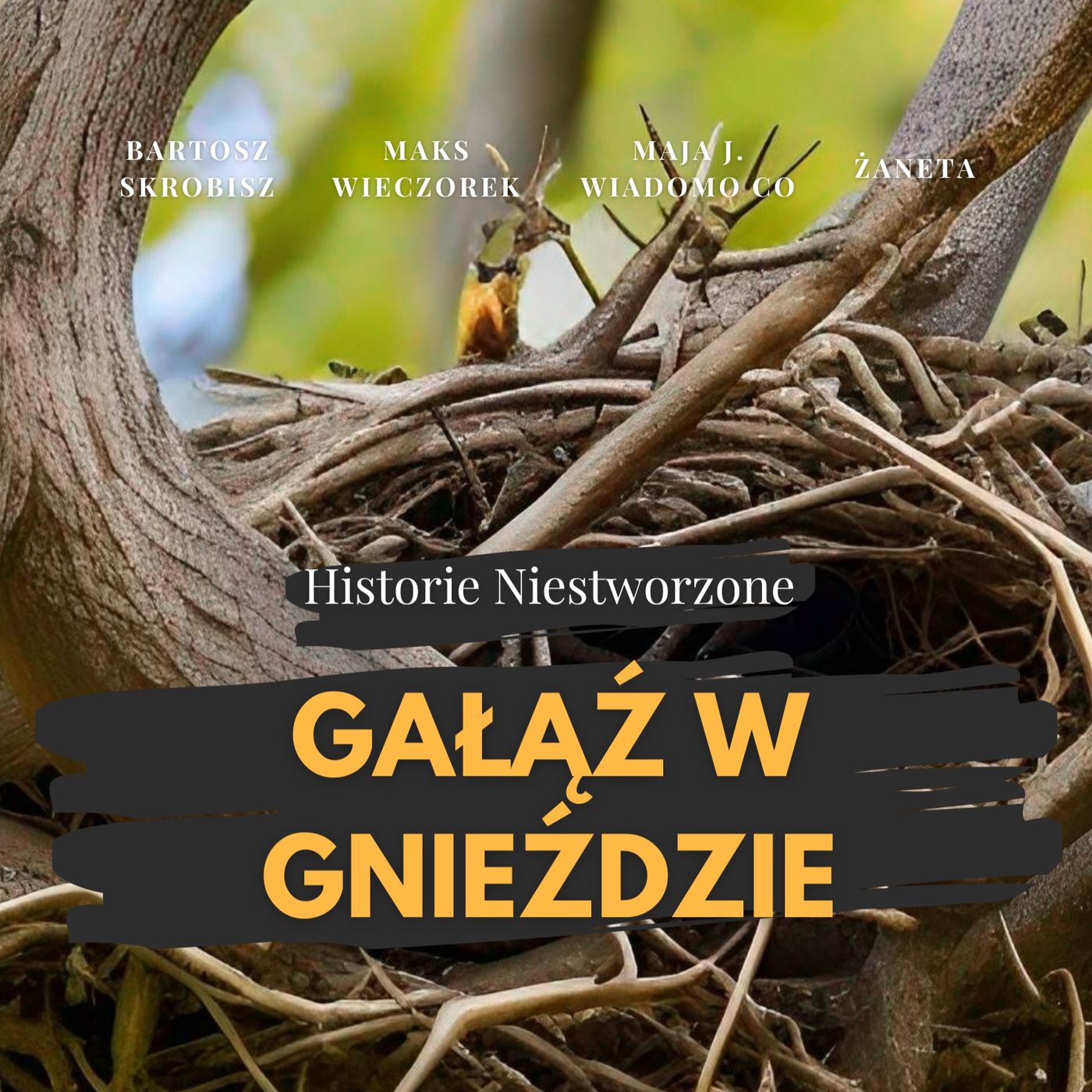 36. Gałąź w gnieździe - film detektywistyczny episode artwork