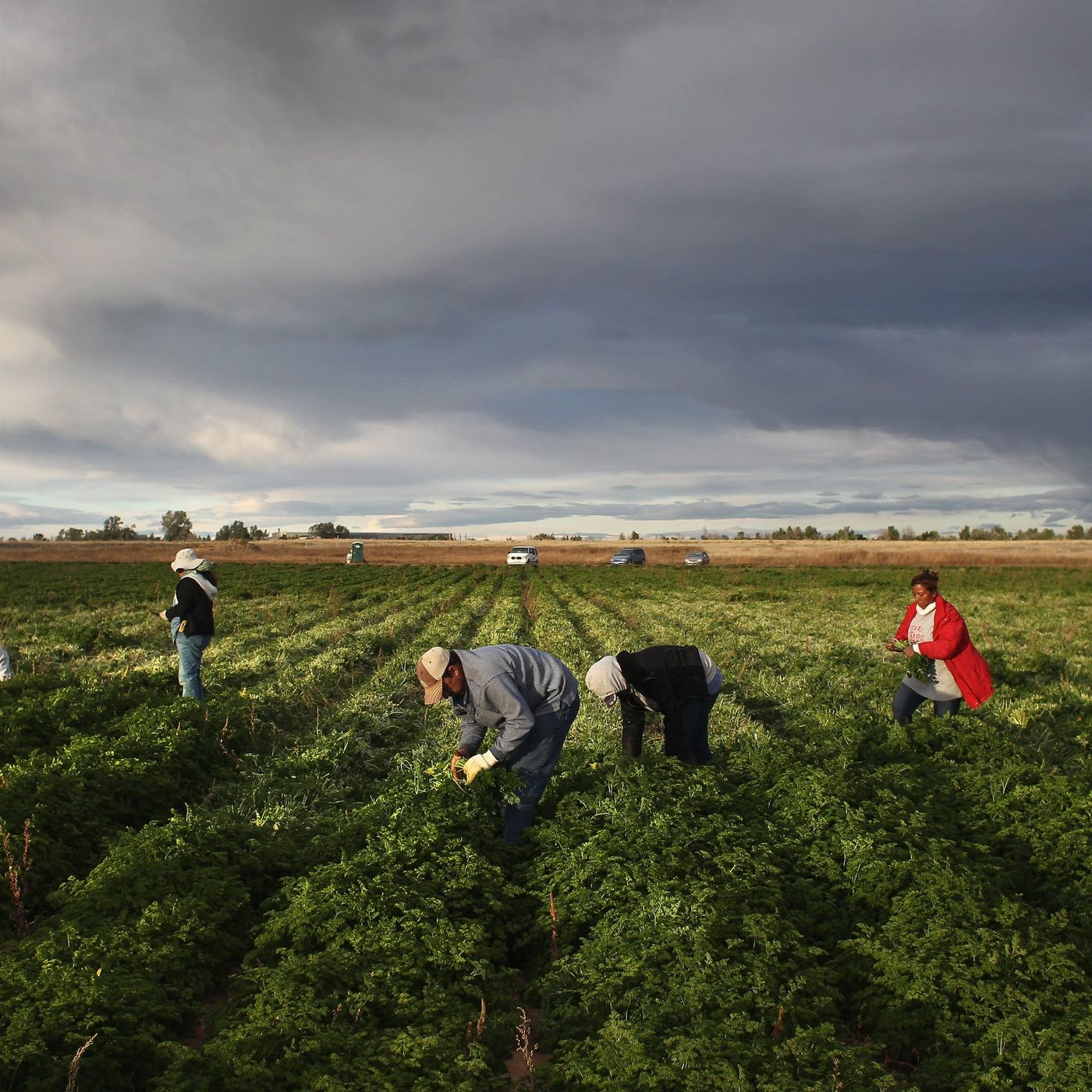 The migrant workforce under Trump episode artwork