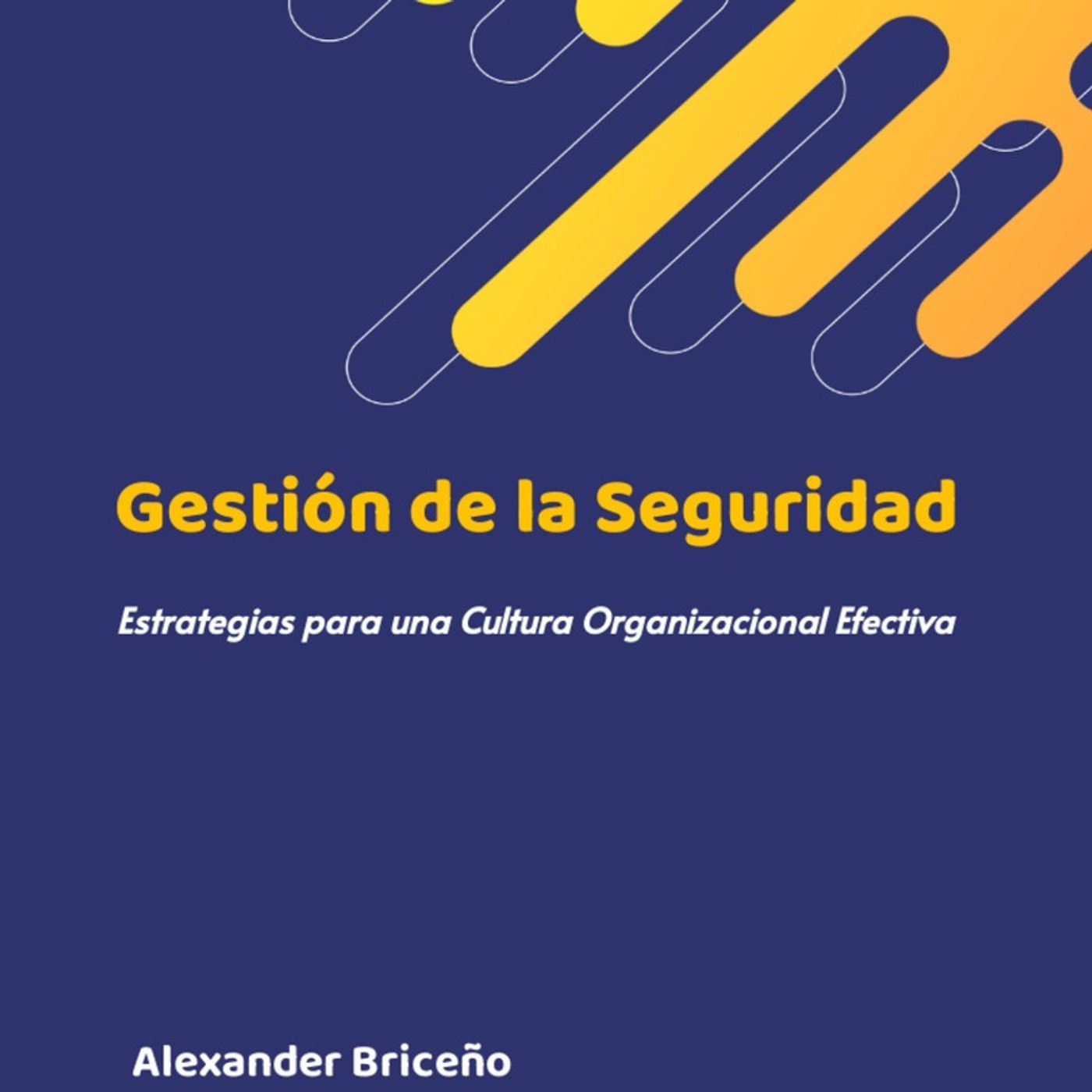 Seguridad, Salud y mucho +