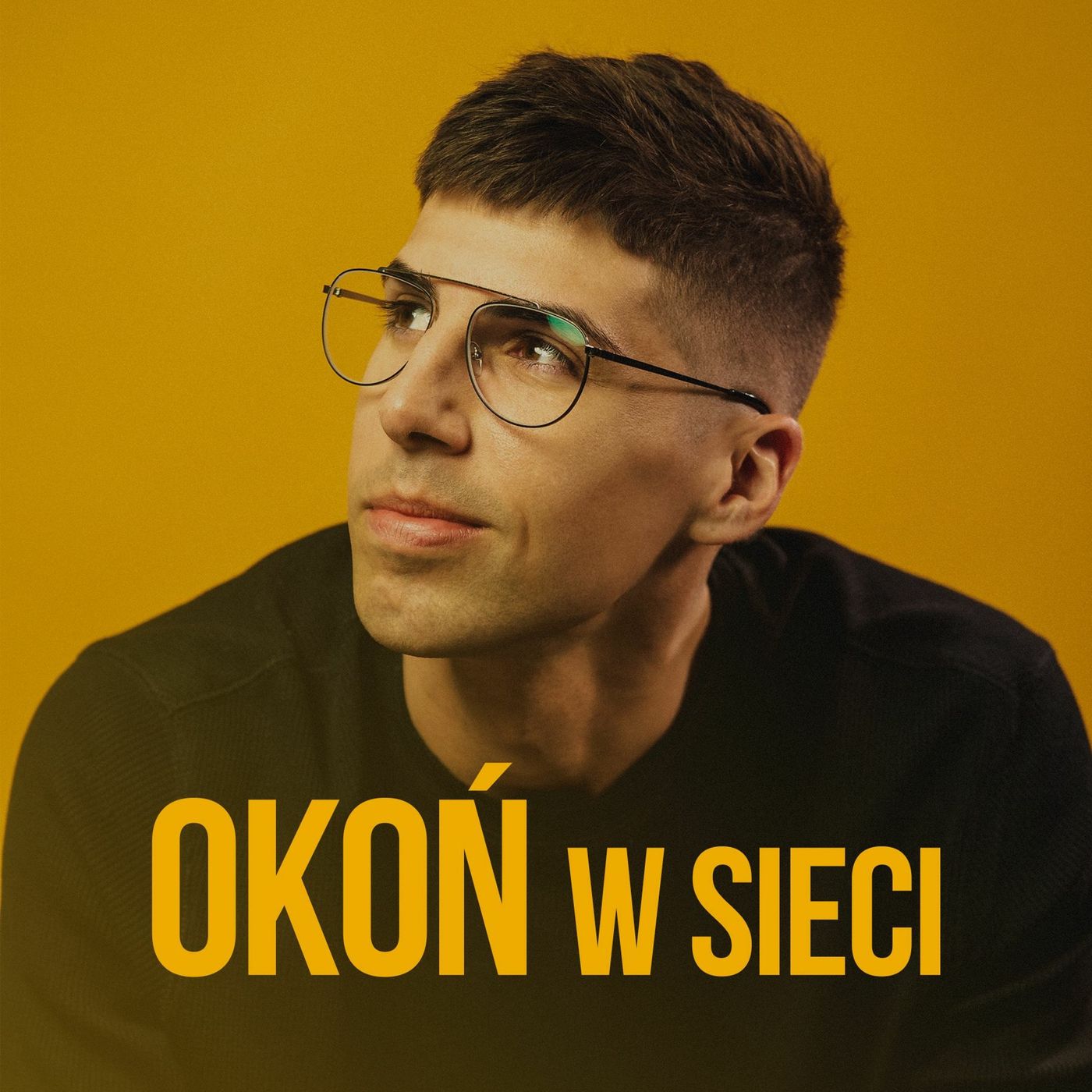 Okoń w sieci