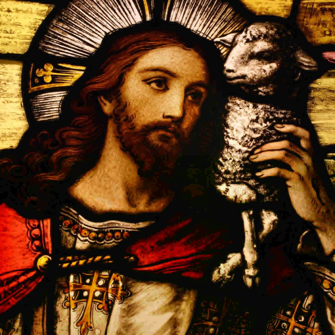 Tuesday of the Second Week of Advent - When Sheep Go Astray