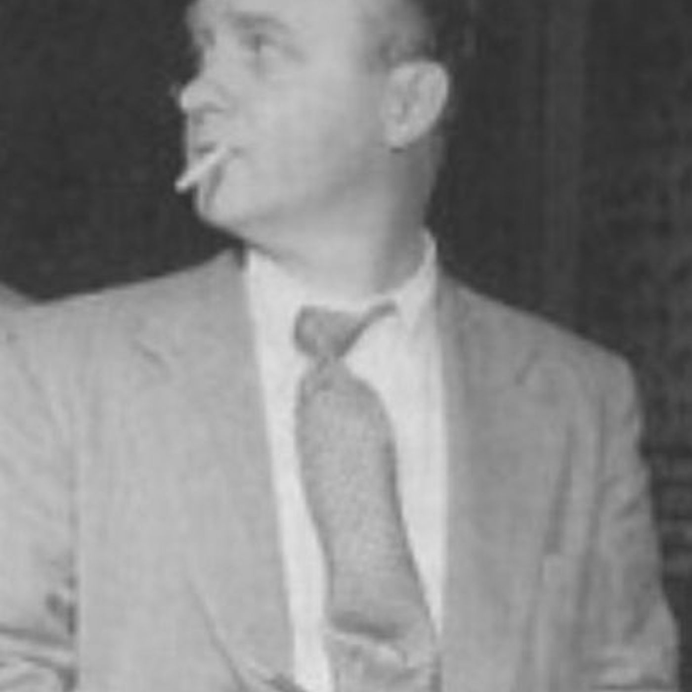 The Falcon - Worried Champion