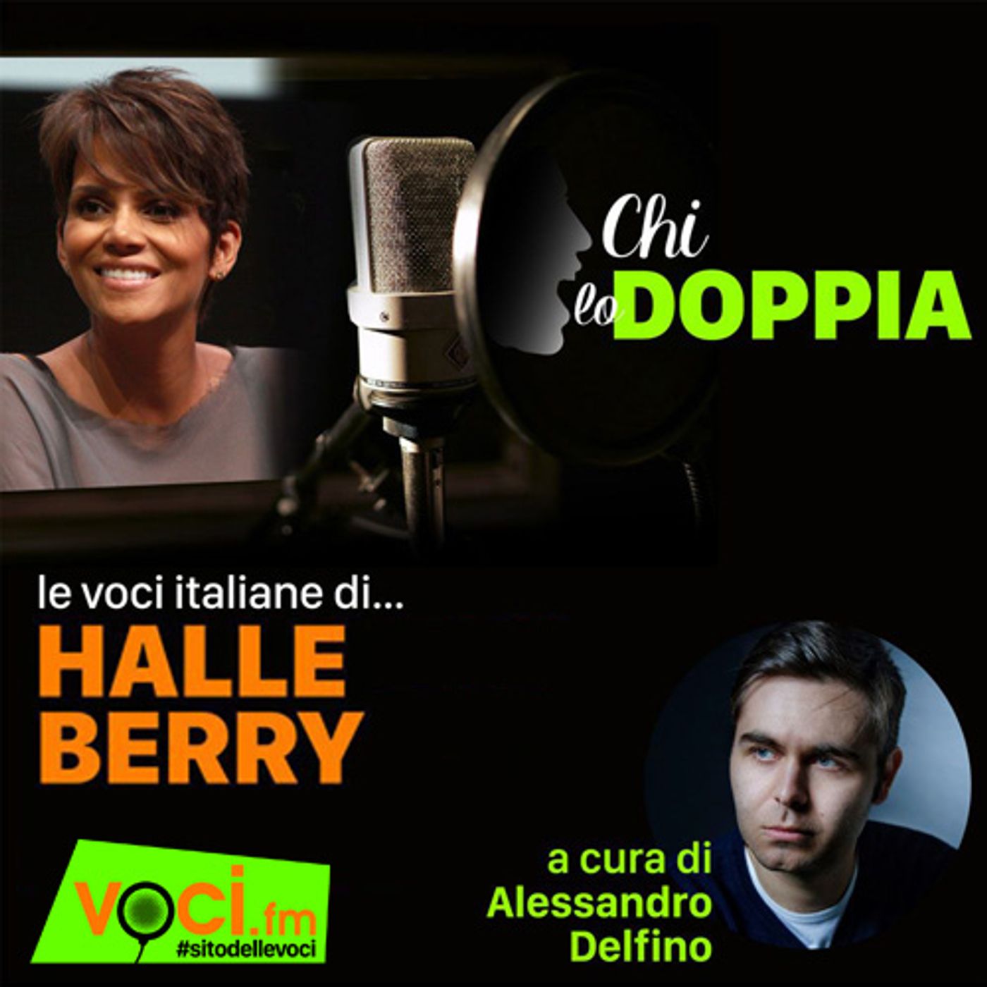 Clicca PLAY e ascolta CHI LO DOPPIA - Le voci italiane di HALLE BERRY episode artwork