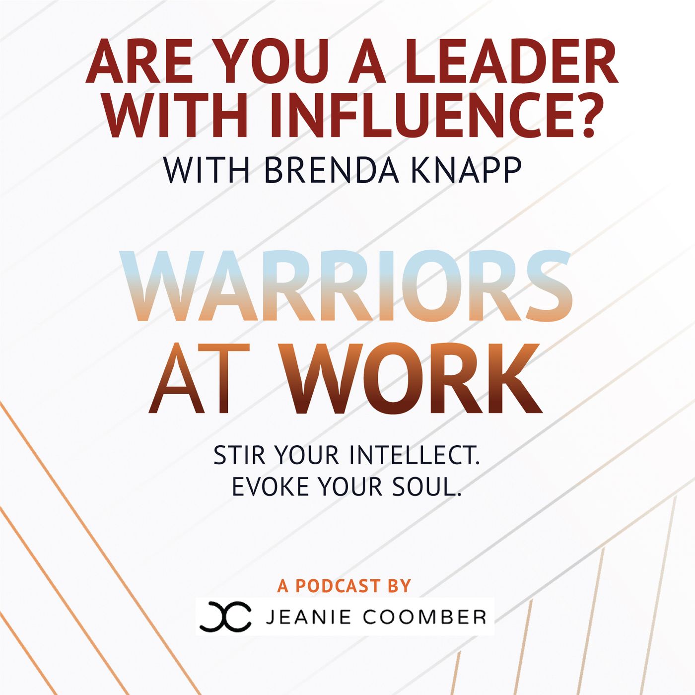 Are you a Leader with Influence? A Conversation with Brenda Knapp