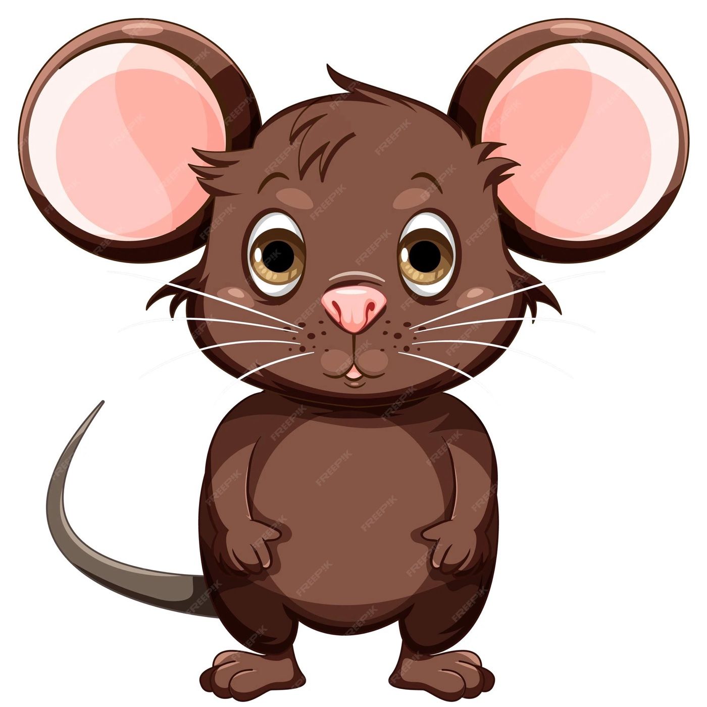 ROY the RAT Nash's podcast