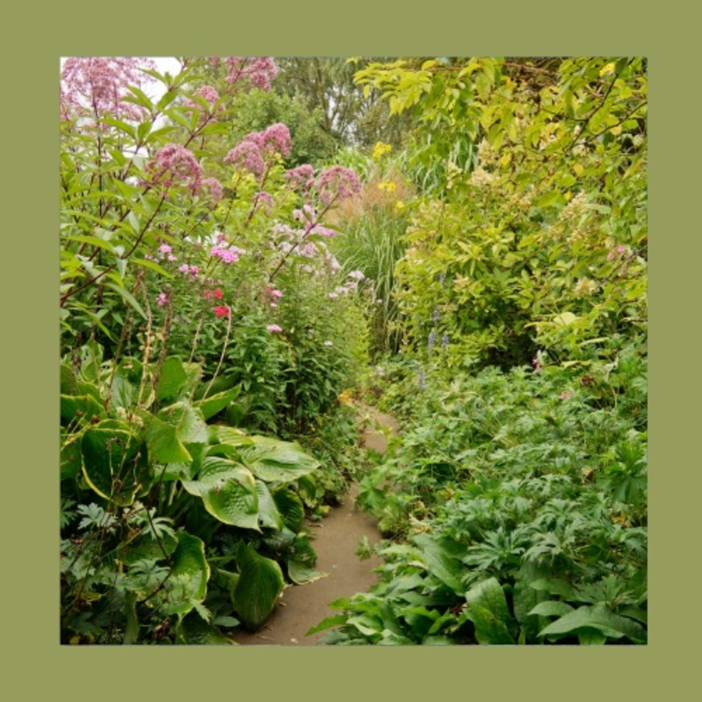 #233 Come creare un giardino naturale e ordinato episode artwork