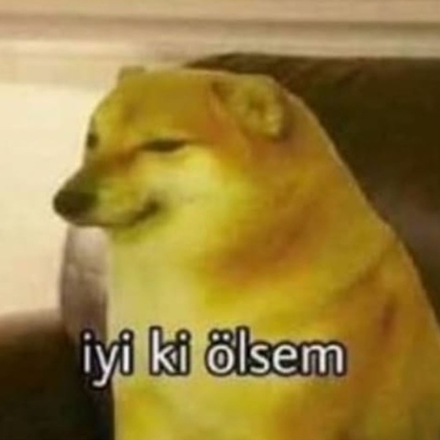 Şev×Majroi