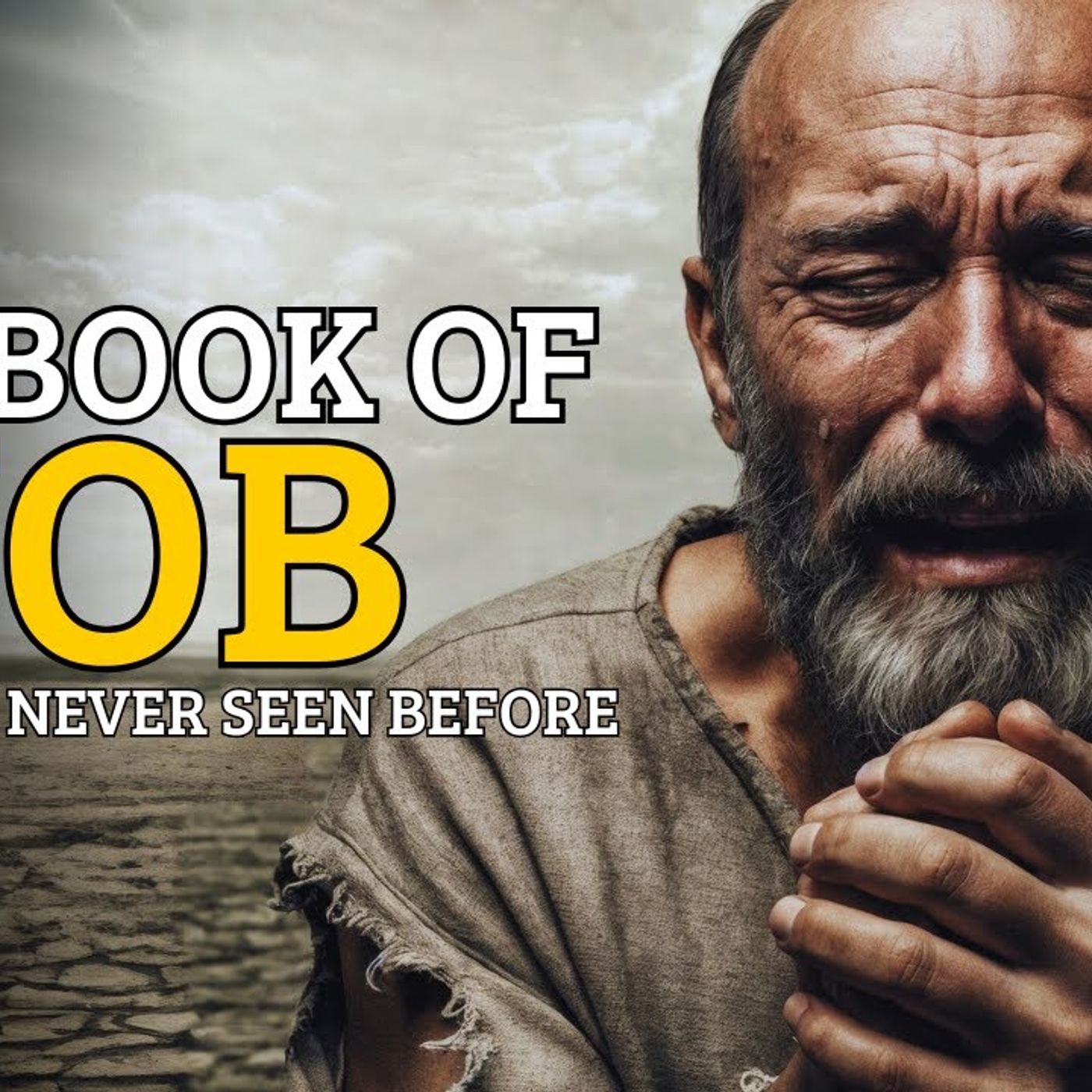 The Book of Job Like You_ve Never Seen Before(M4A_128K)