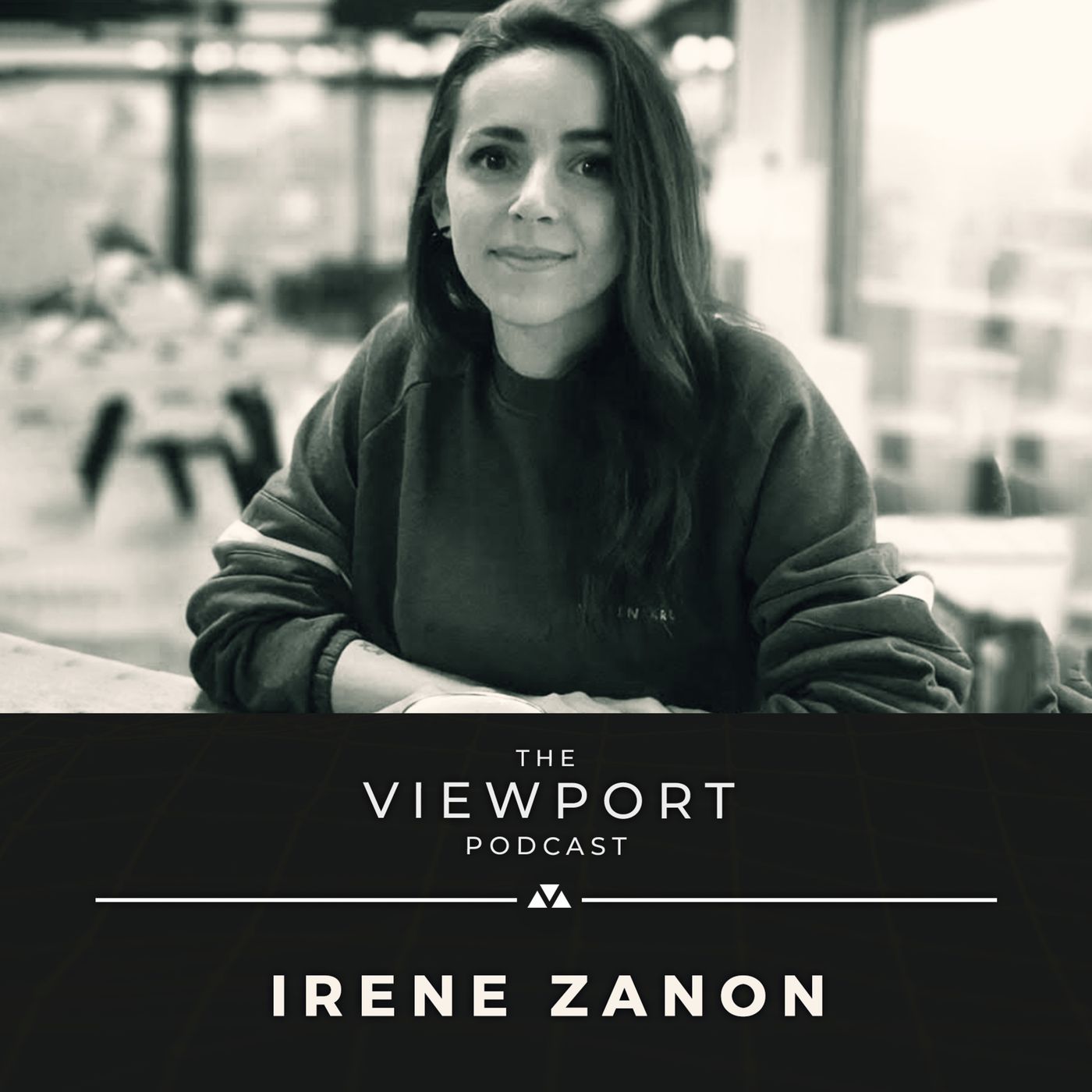 The Viewport Podcast