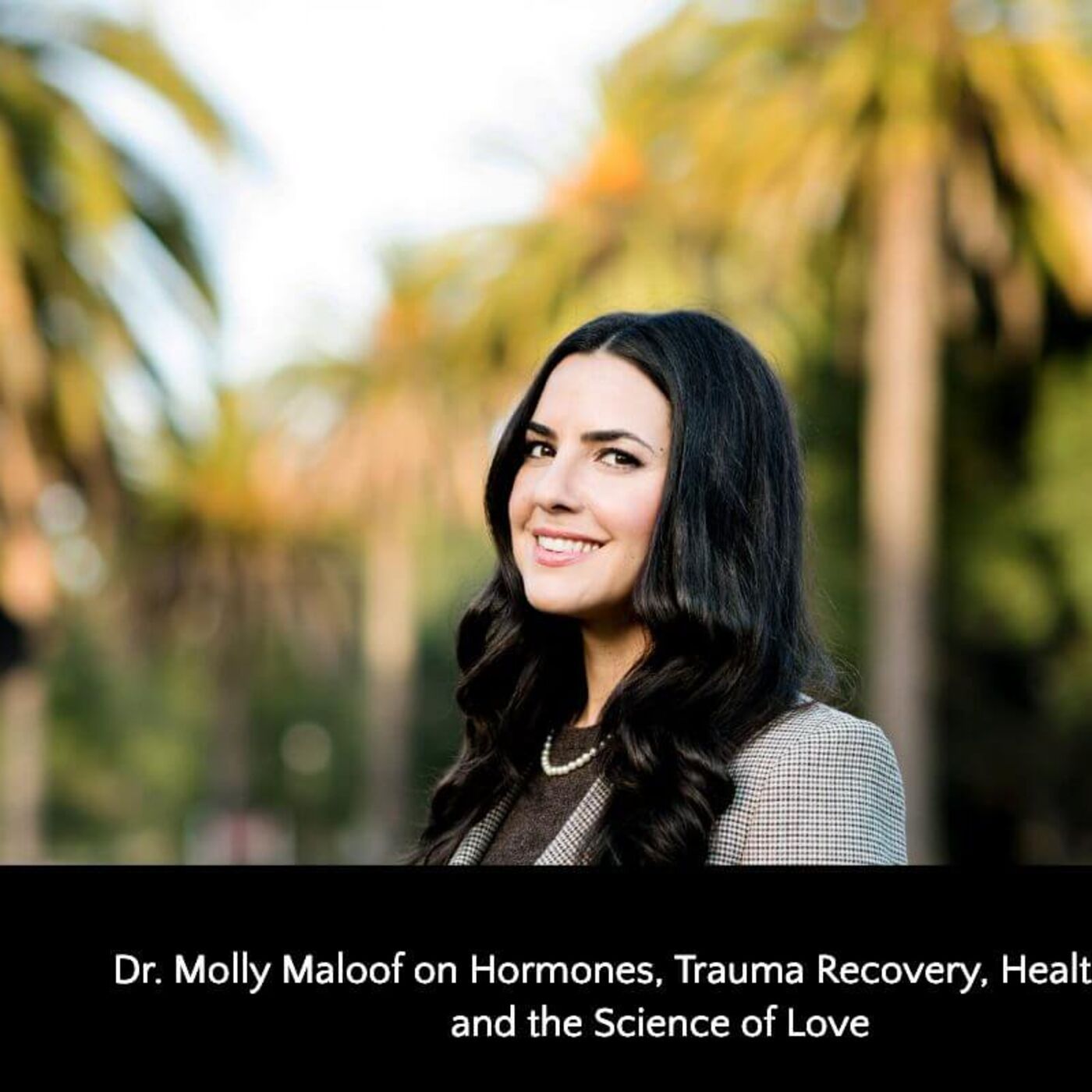 The Wellness Mama Podcast