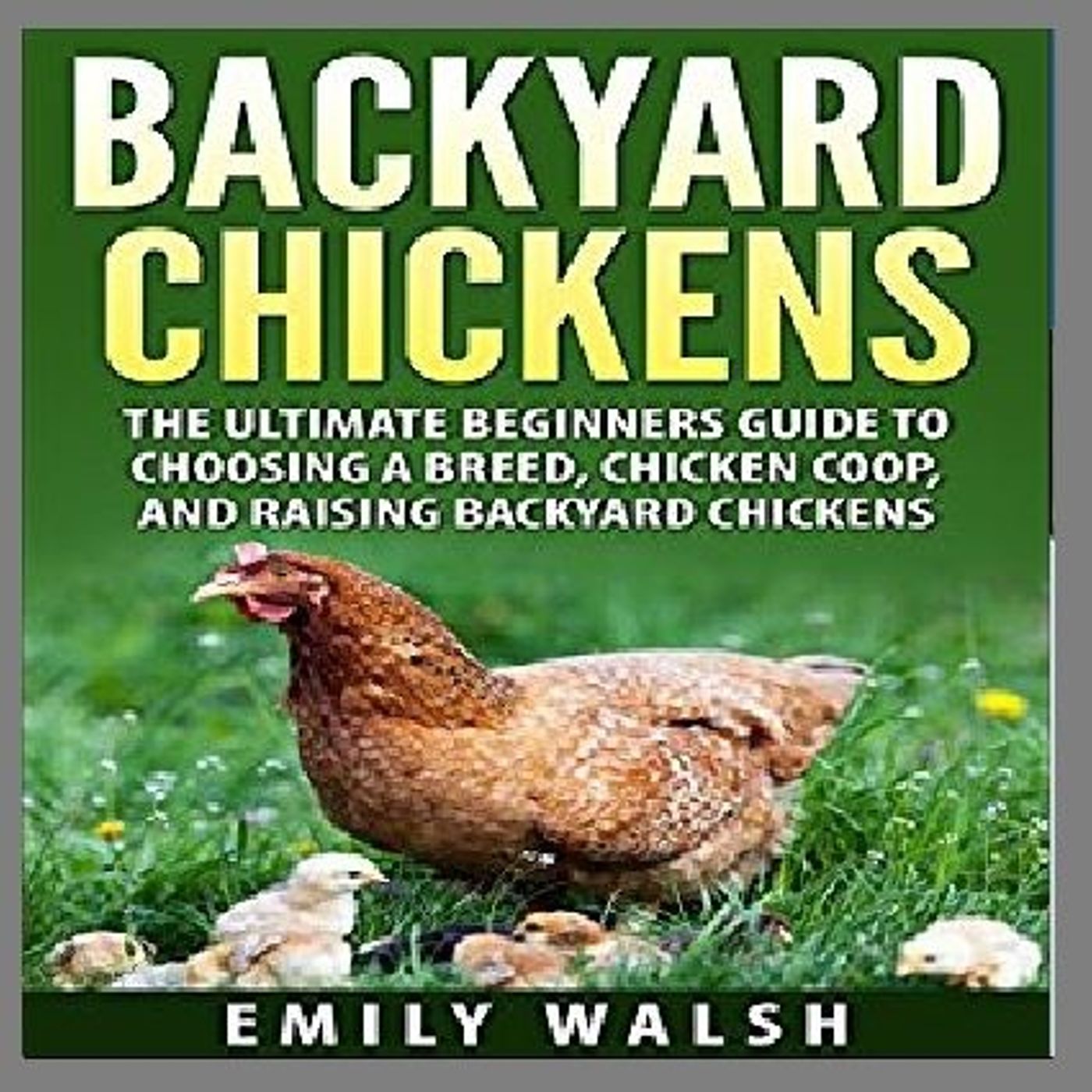 Backyard Chickens By Emily Walsh Narrated By Angel Clark episode artwork
