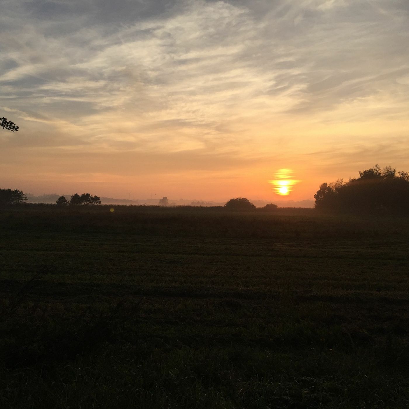 E-Folkeoplysning: Hør om verden omkring dig