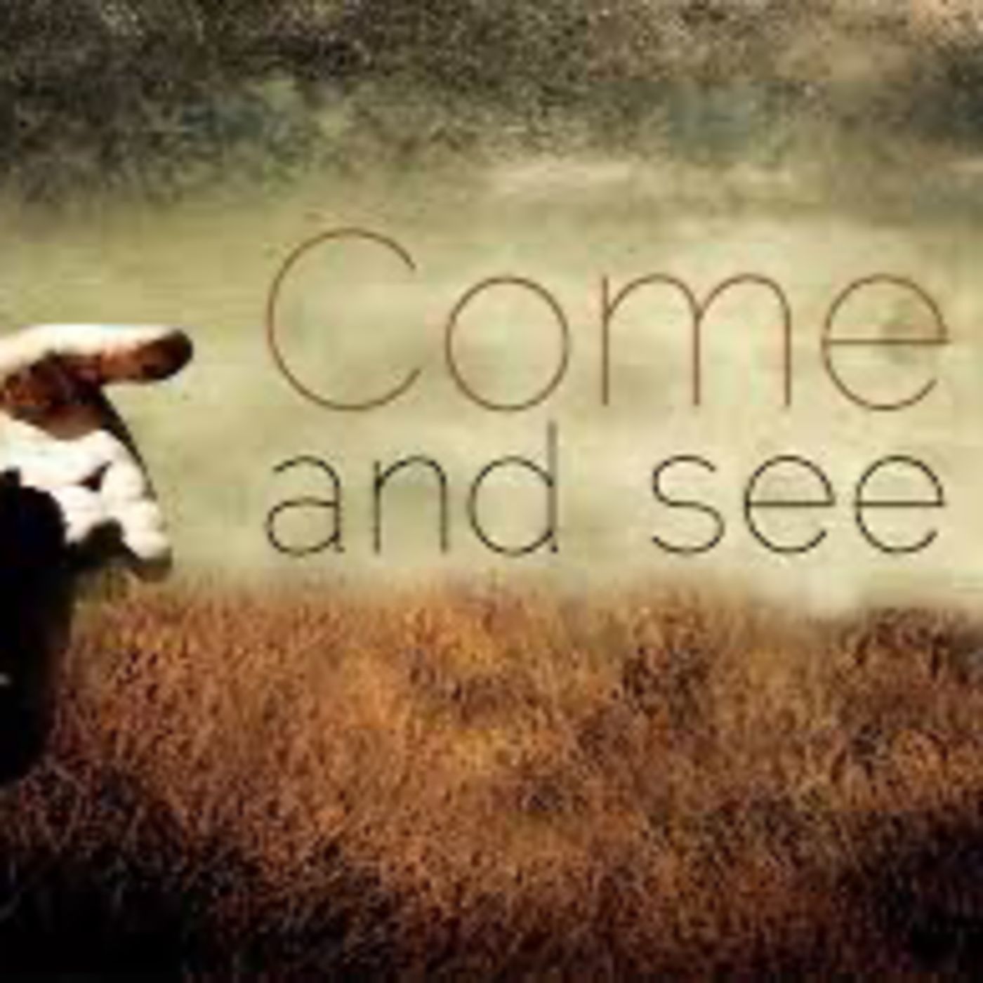 "Come and See Jesus" episode artwork